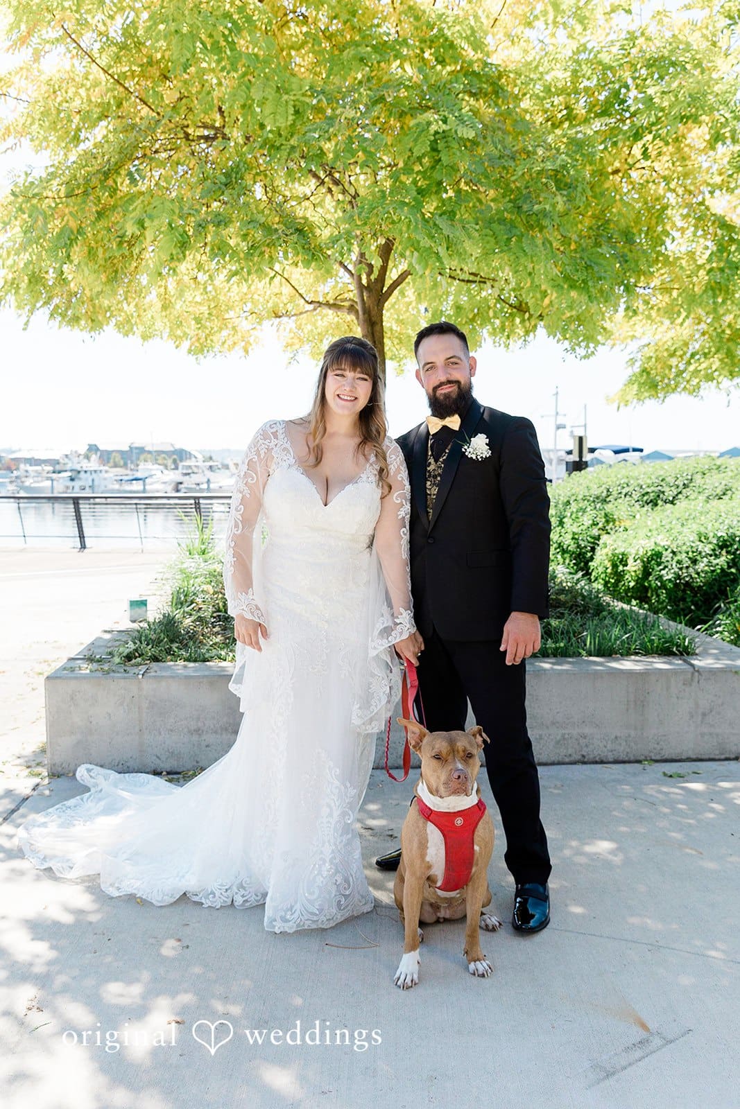 Hotel Indigo Seattle Wedding // Nicole & Tyler -