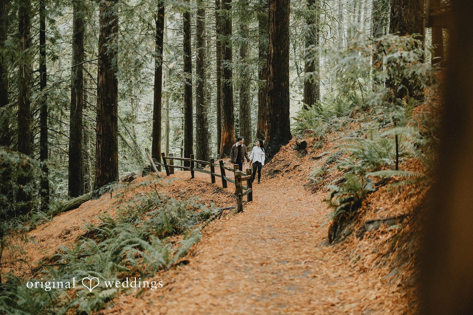 Caleigh & Joshua -