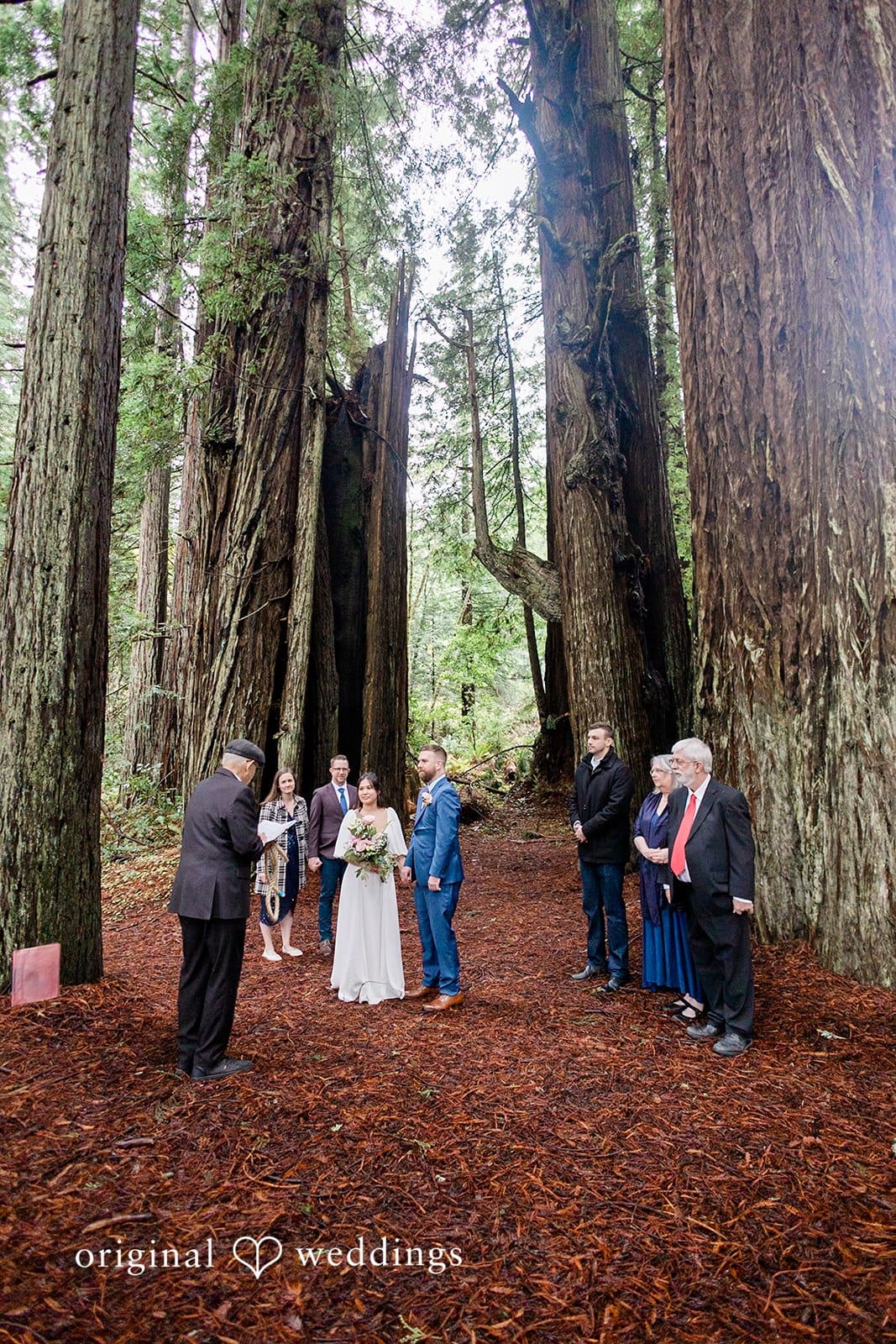Jedediah Smith State Park Wedding // Kelly & Mark -
