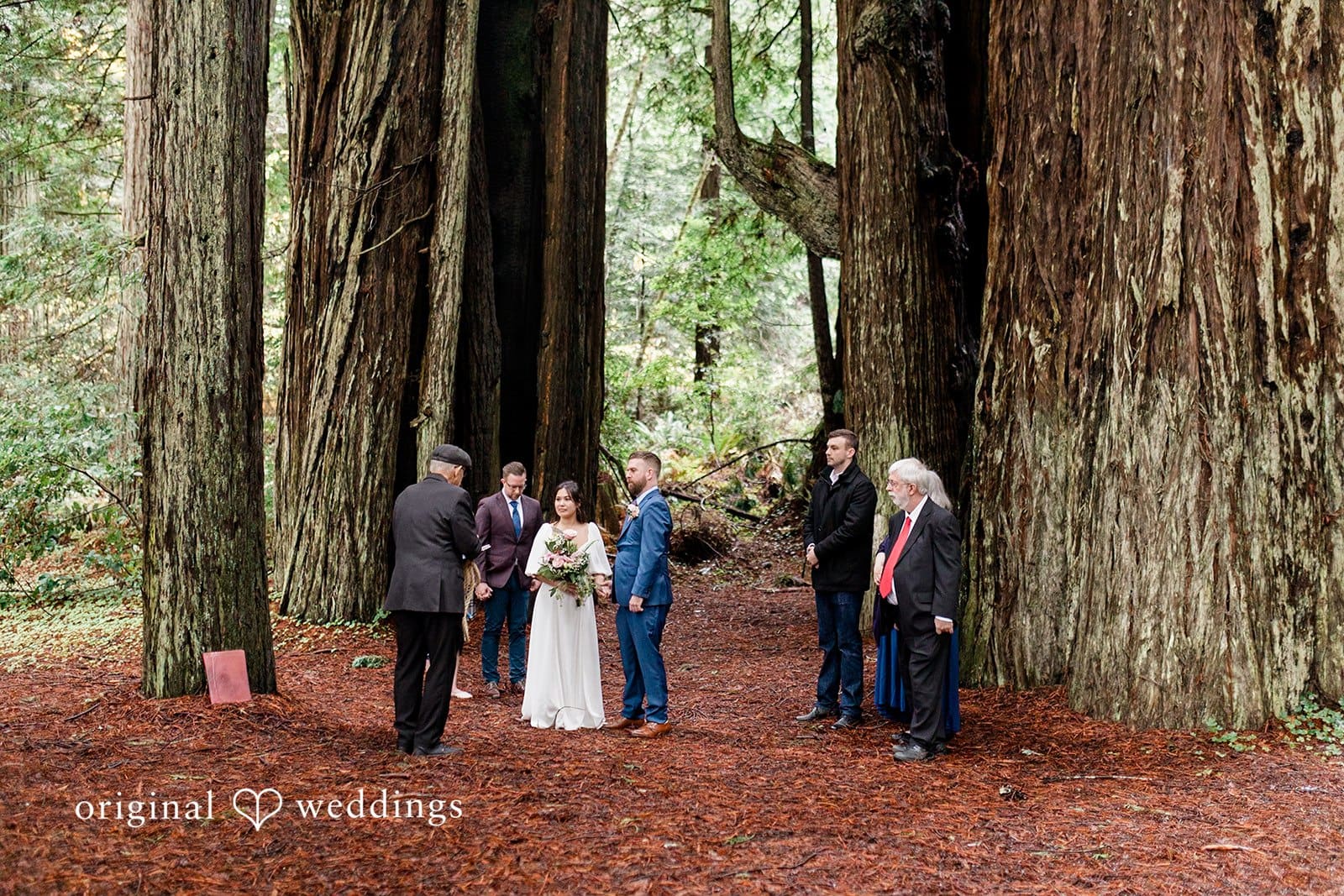 Jedediah Smith State Park Wedding // Kelly & Mark -