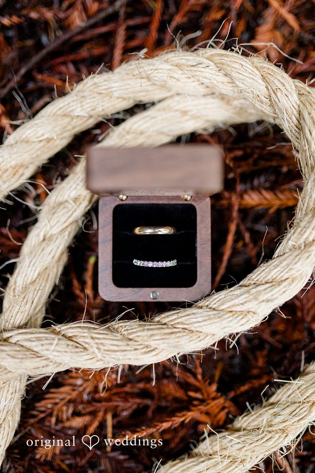 Jedediah Smith State Park Wedding // Kelly & Mark -