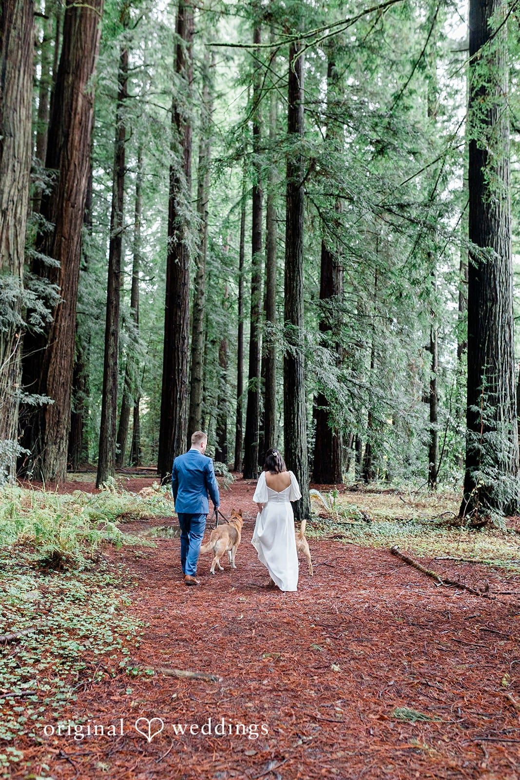 Jedediah Smith State Park Wedding // Kelly & Mark -