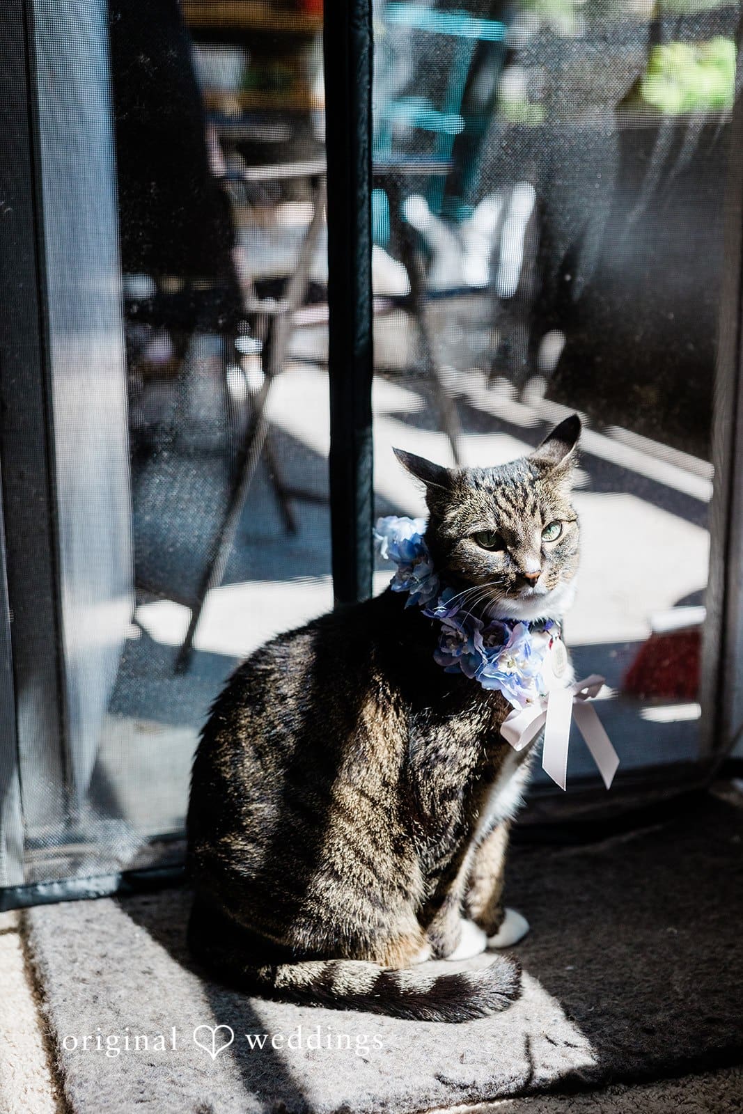 King County Superior Court Wedding // Catherine & Jeremy -