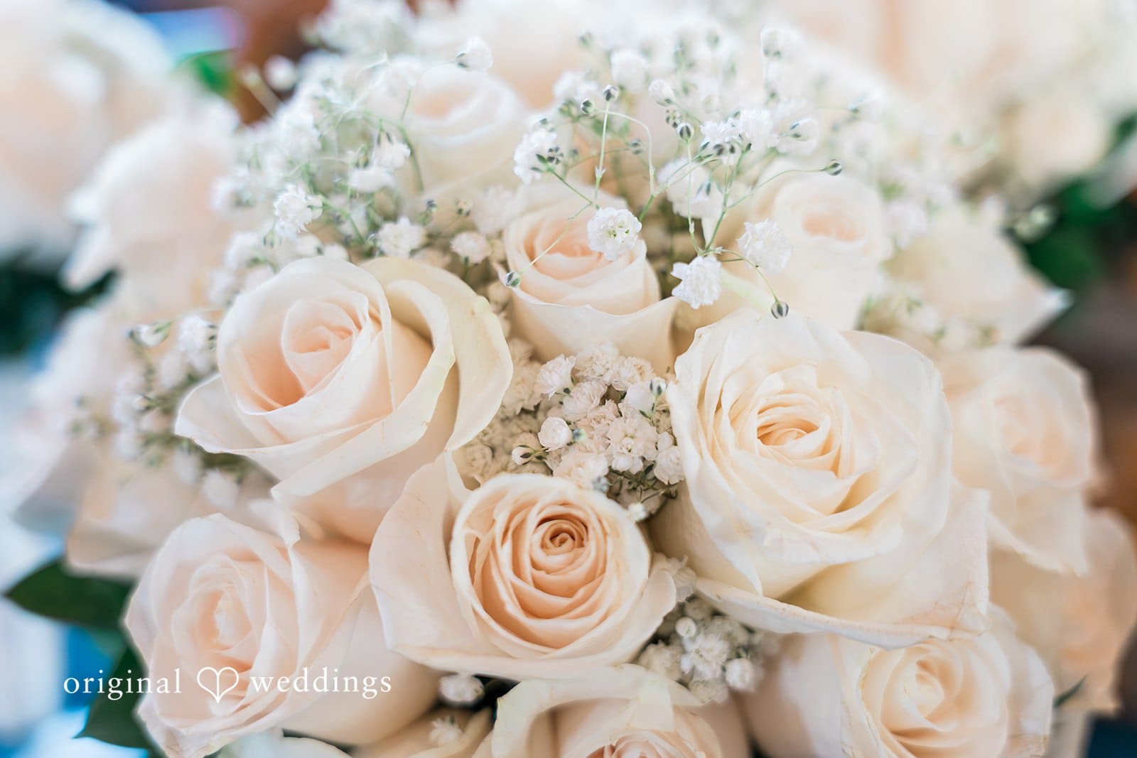 La Grande Estates Wedding // Taylor & Justin -