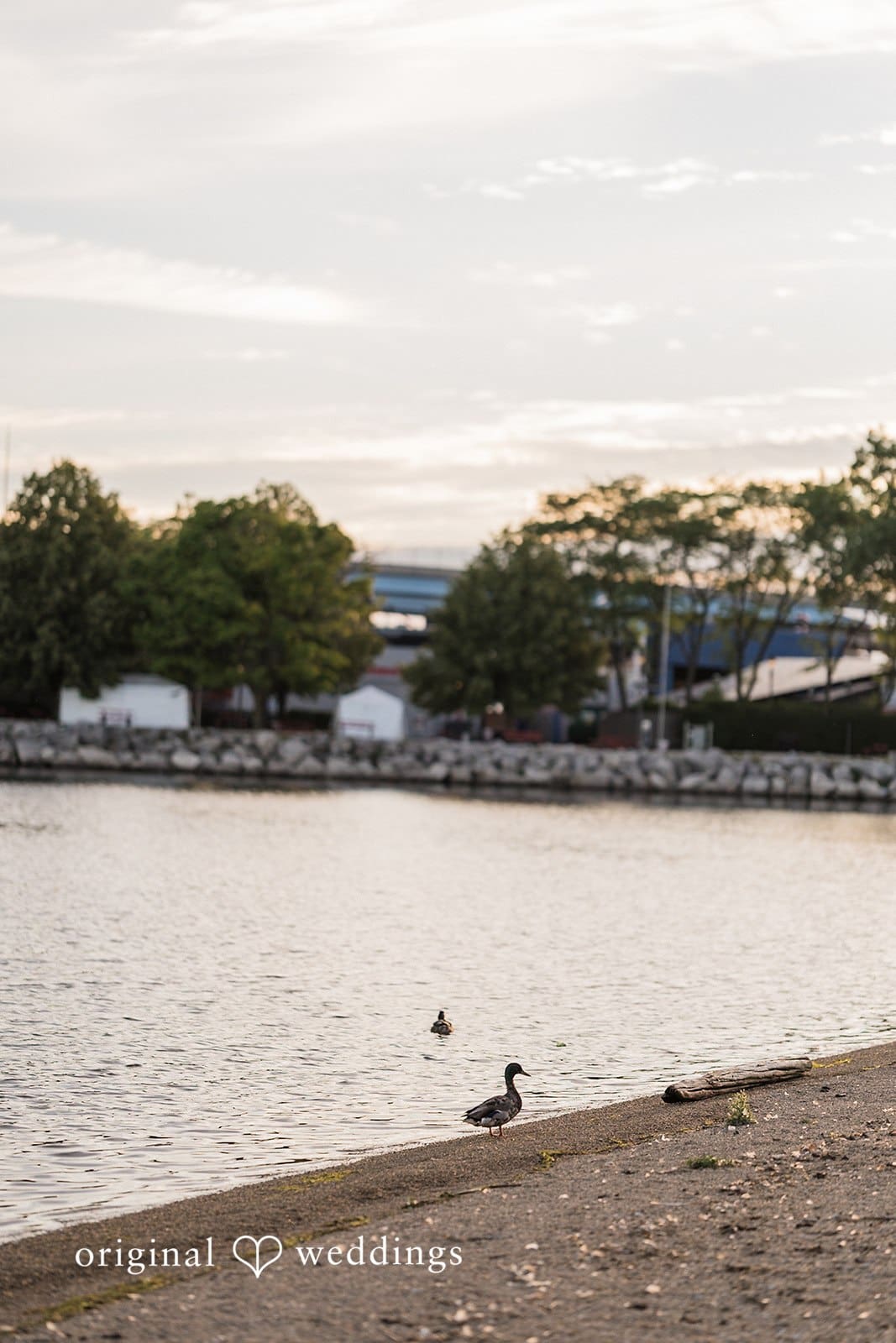 Lakeshore State Park Engagement // Kevin & Rory -