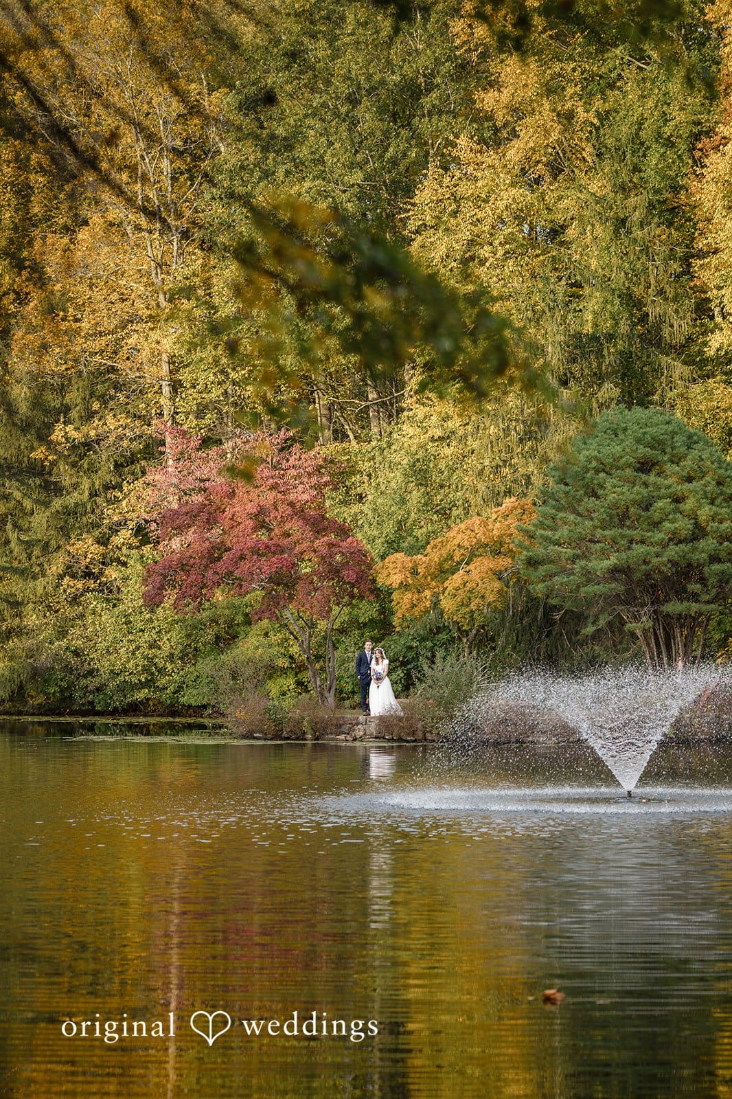Lakota Oaks Wedding // Margaret & Patrick -