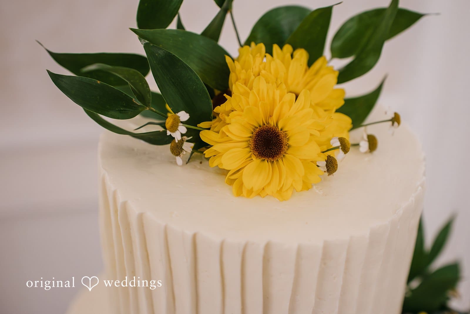 Lakota Oaks Wedding // Margaret & Patrick -