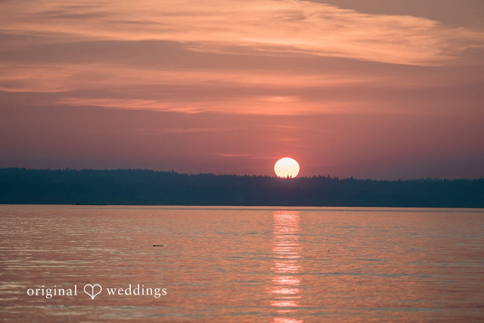 Lincoln Park Engagement // Melissa & Jesus -