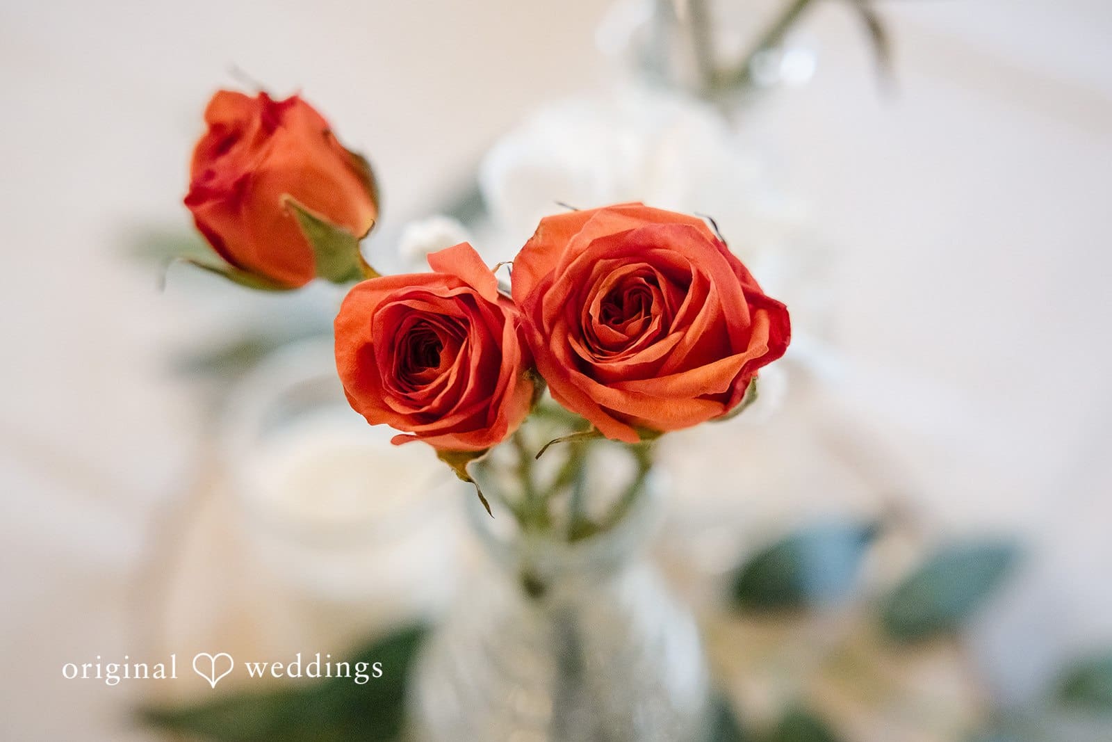 Lord Hill Farms Wedding // SarahJean & Matt -