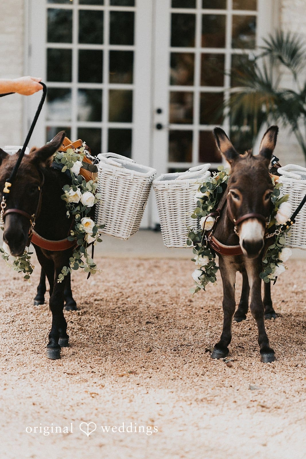Lucky Arrow Retreat Wedding // Brian & Taylor -