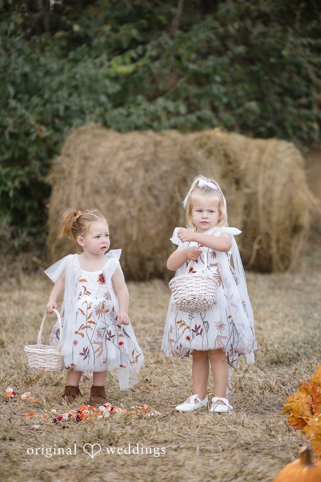 Missouri Backyard Wedding // Maria & Jacob -