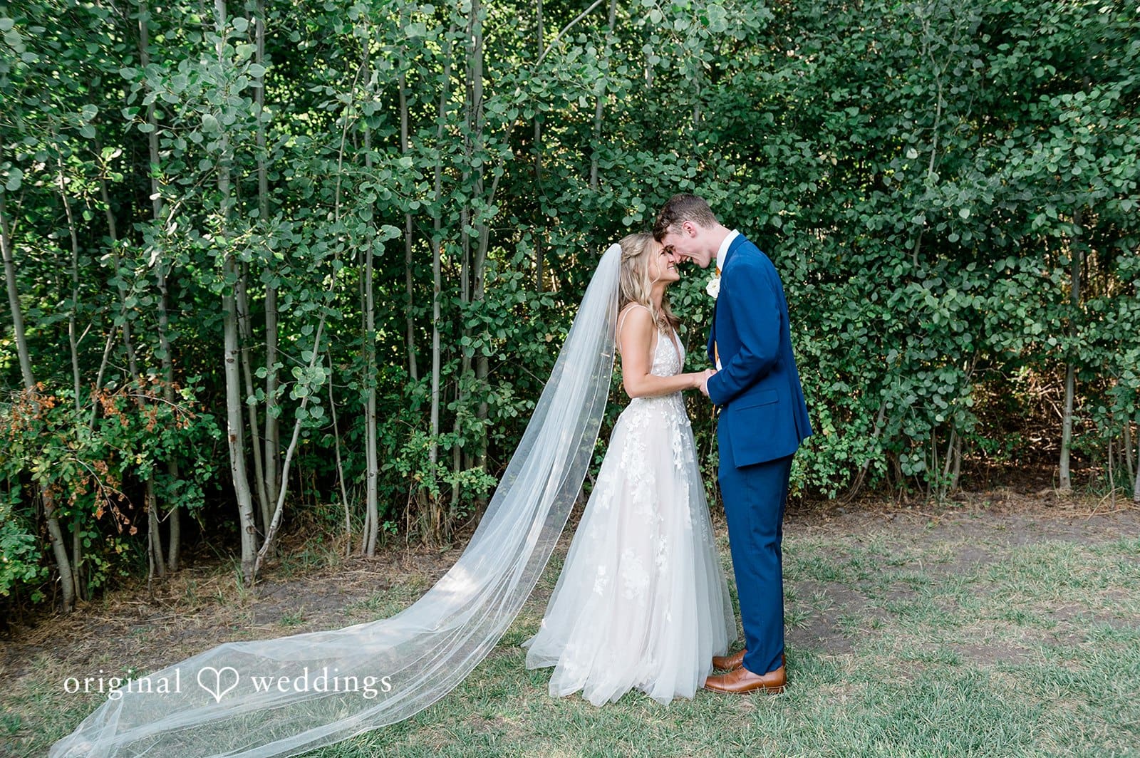 Mountain Springs Lodge Wedding // Stephanie & Mitchell -