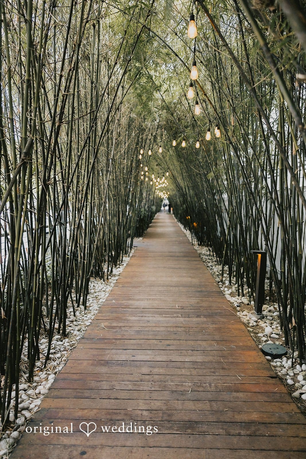 Nautilus Sonesta Miami Beach Wedding // Evelyn & Ross -