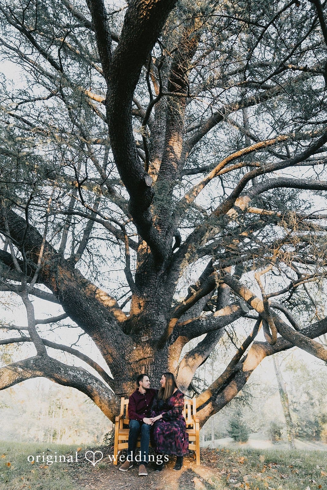 Oatlands Historic House Engagement // Sydney & Michael -