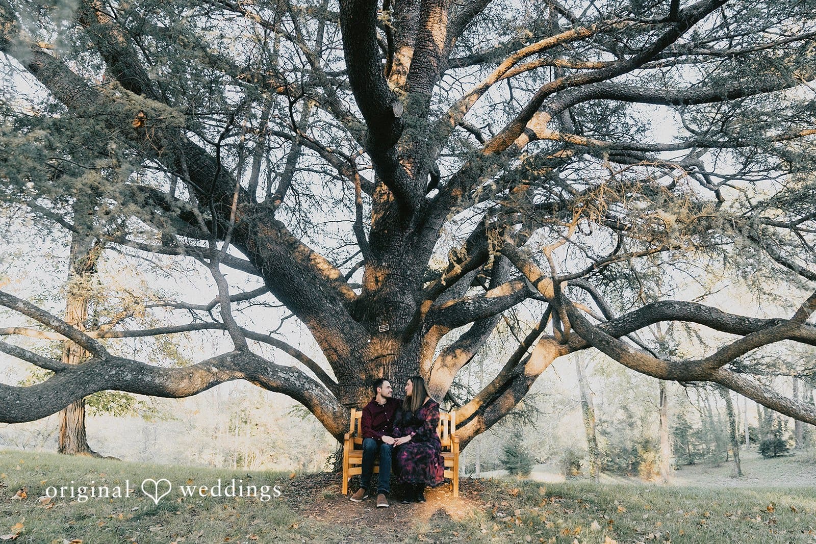 Oatlands Historic House Engagement // Sydney & Michael -