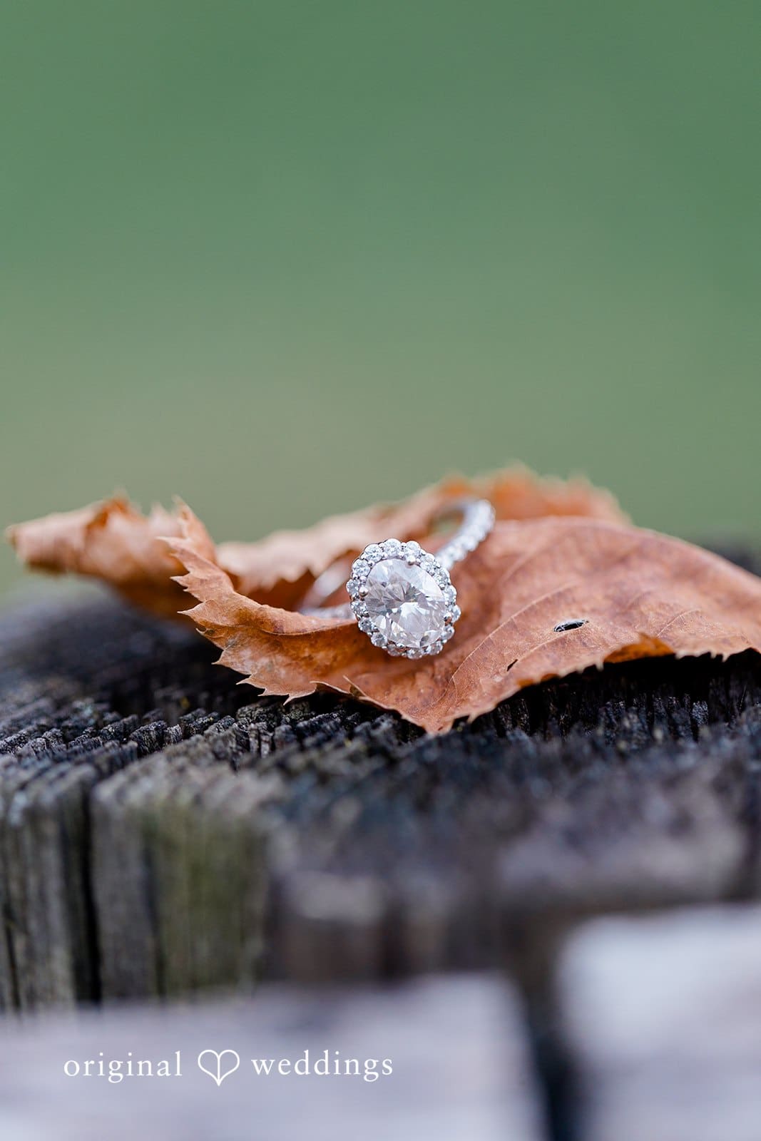 Parker Mill County Park and The Big House Engagement // Elena & Jordan -