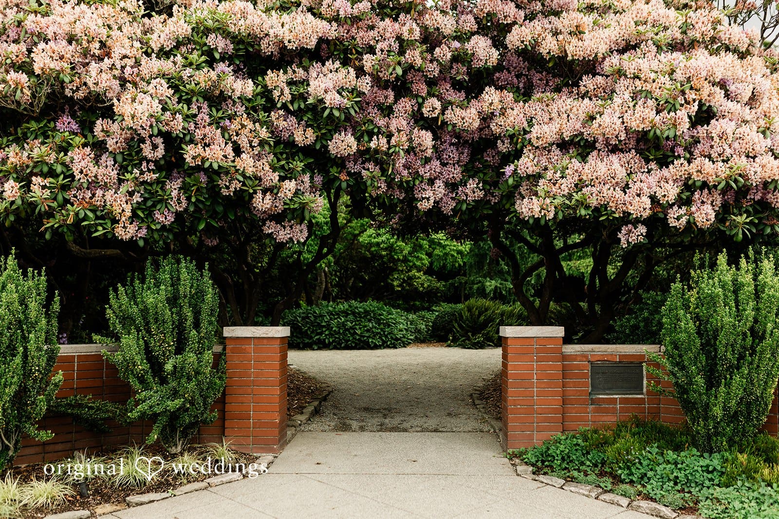 Parsons Gardens Wedding // Ann & Leighton -