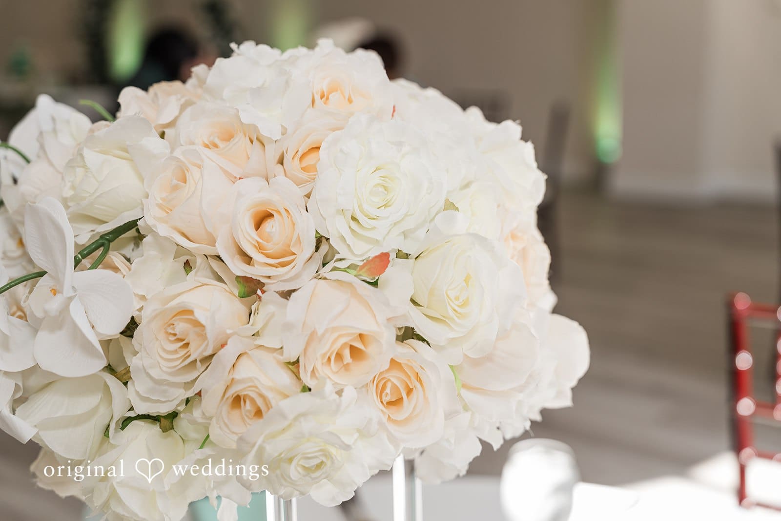 Reflections Venue and Gardens Wedding // Liz & Jess -