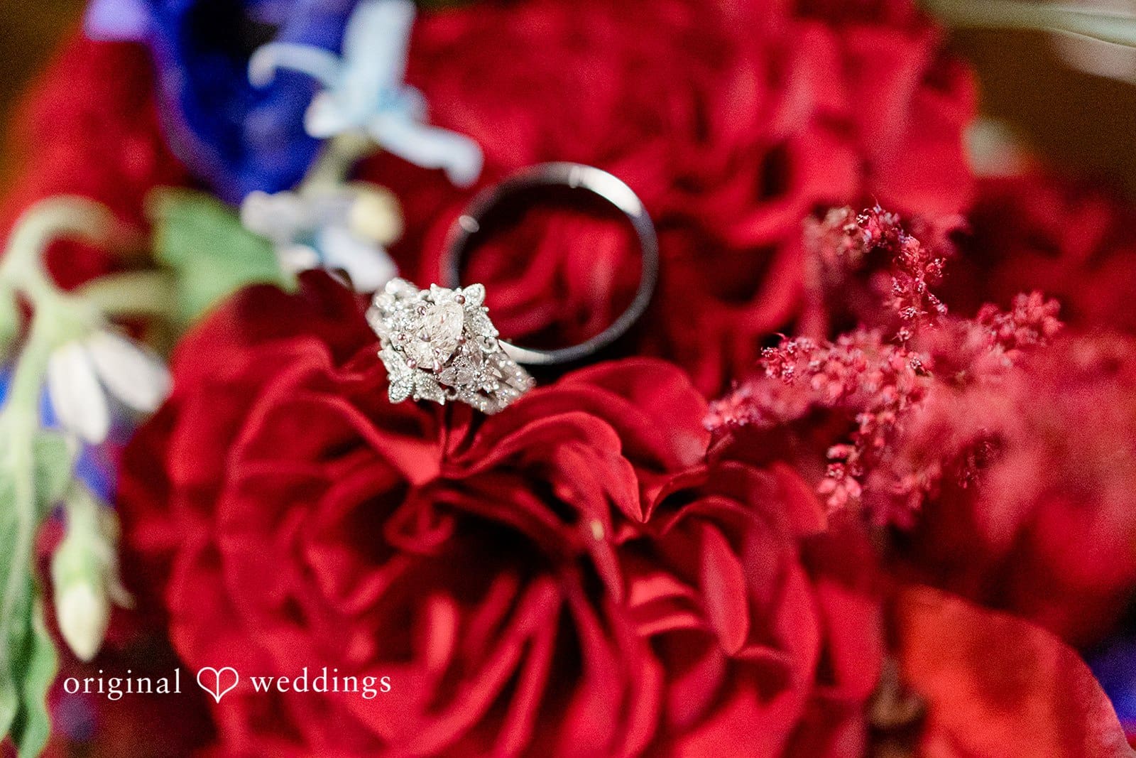 Robinswood House Wedding // Jacquelin & Karl -