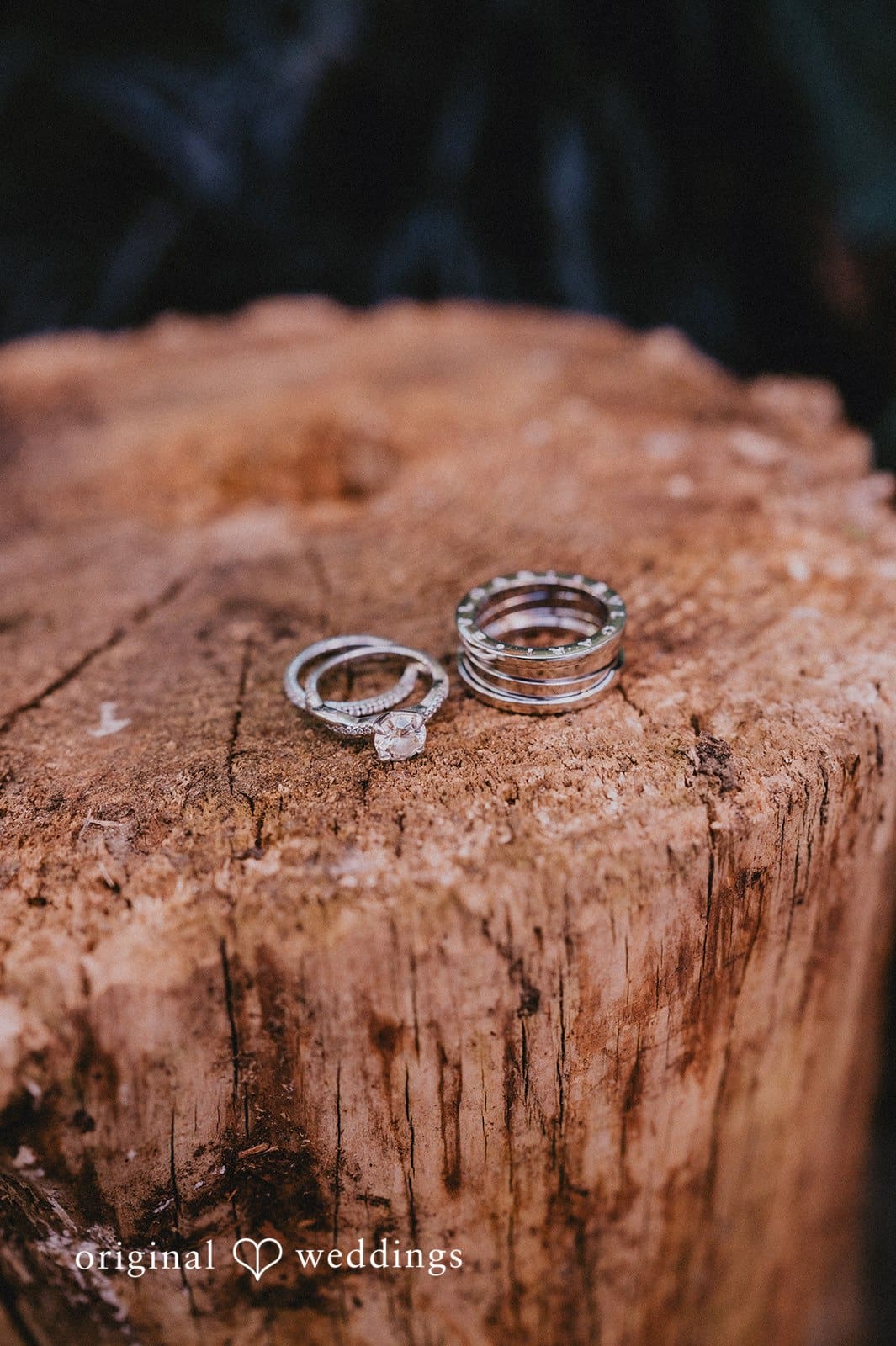 Phoebe & David -