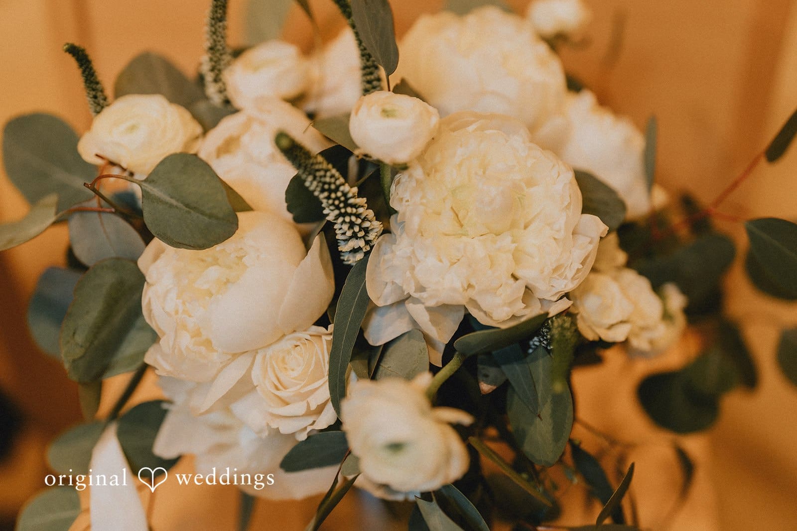 Salish Lodge & Spa Wedding // Diana & DJ -