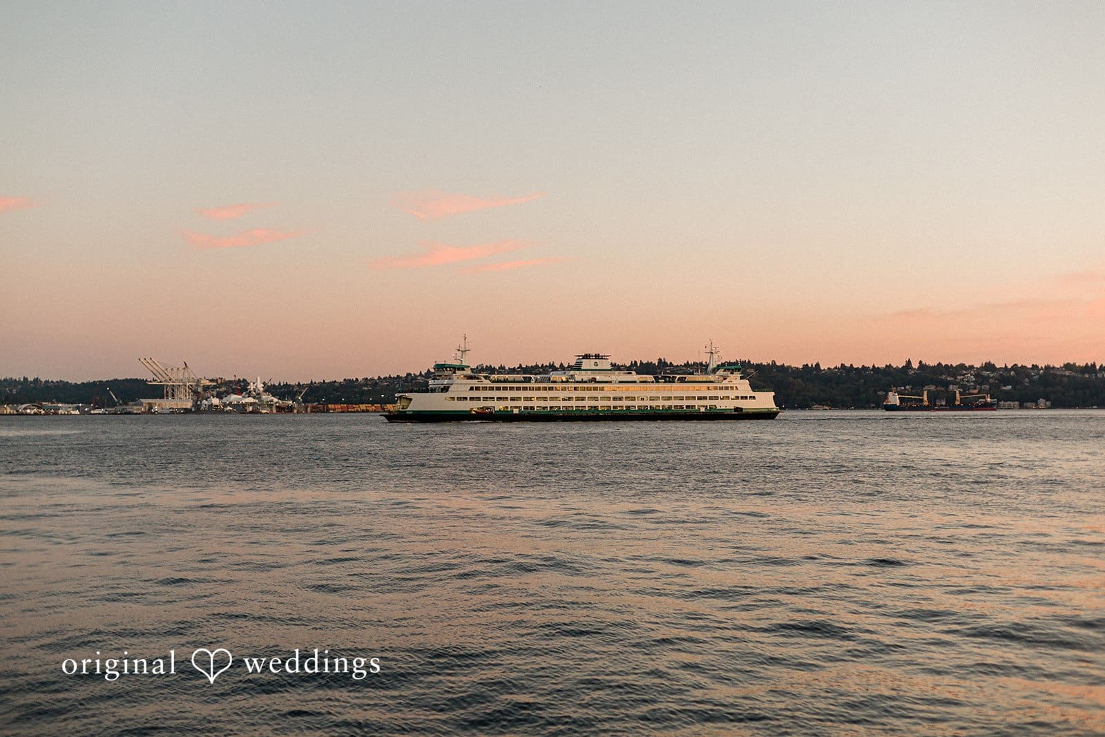 Seattle Aquarium Wedding // Drew & Elizabeth -