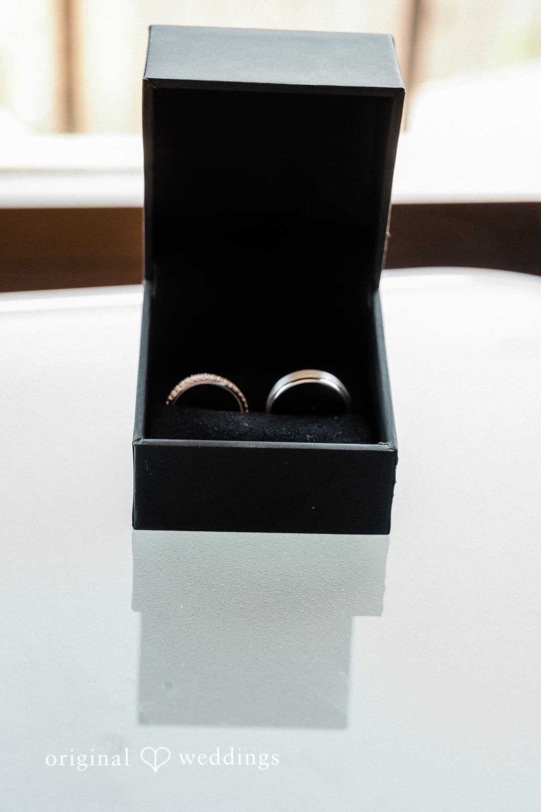 Seattle Aquarium Wedding // Drew & Elizabeth -