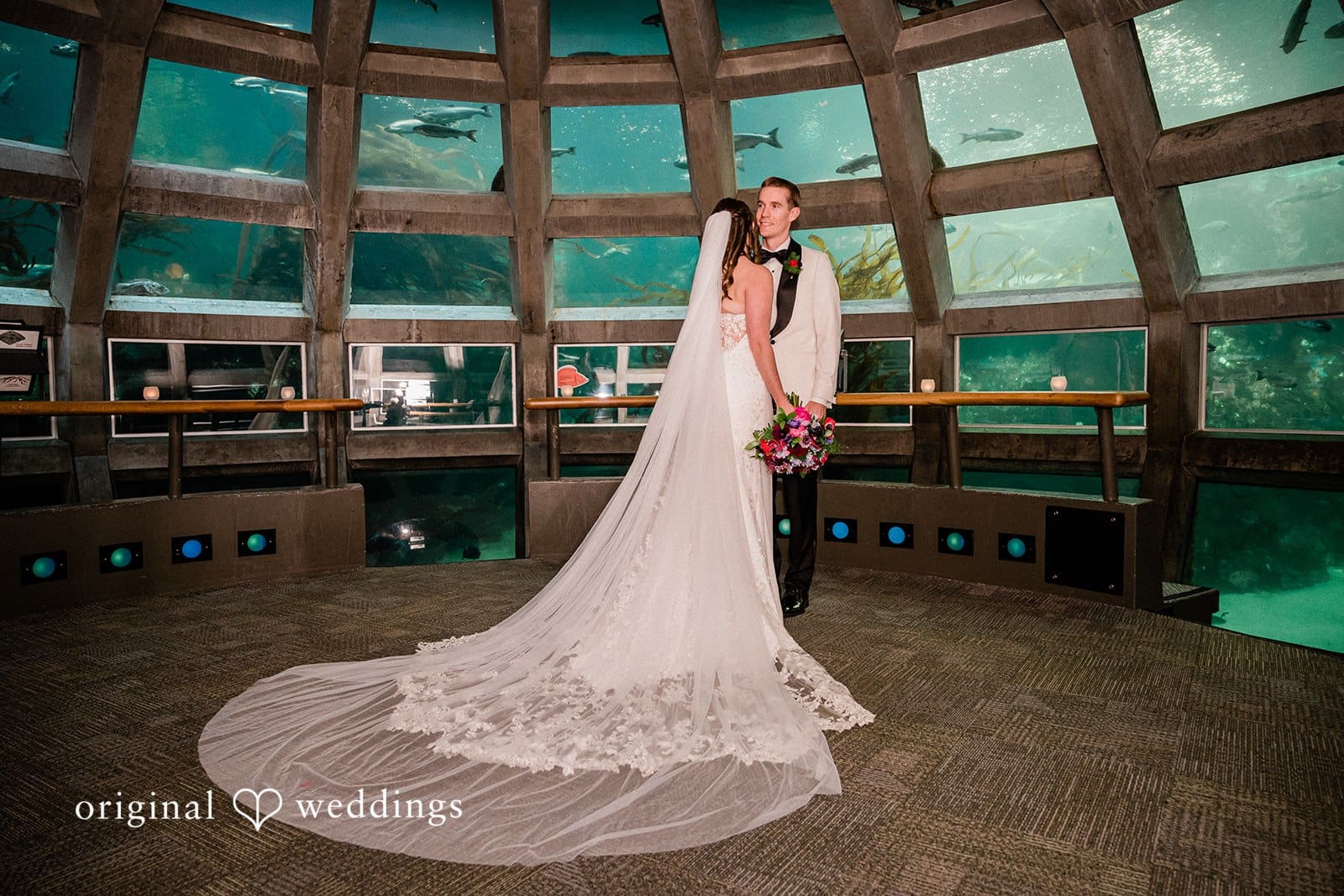 Seattle Aquarium Wedding // Drew & Elizabeth -