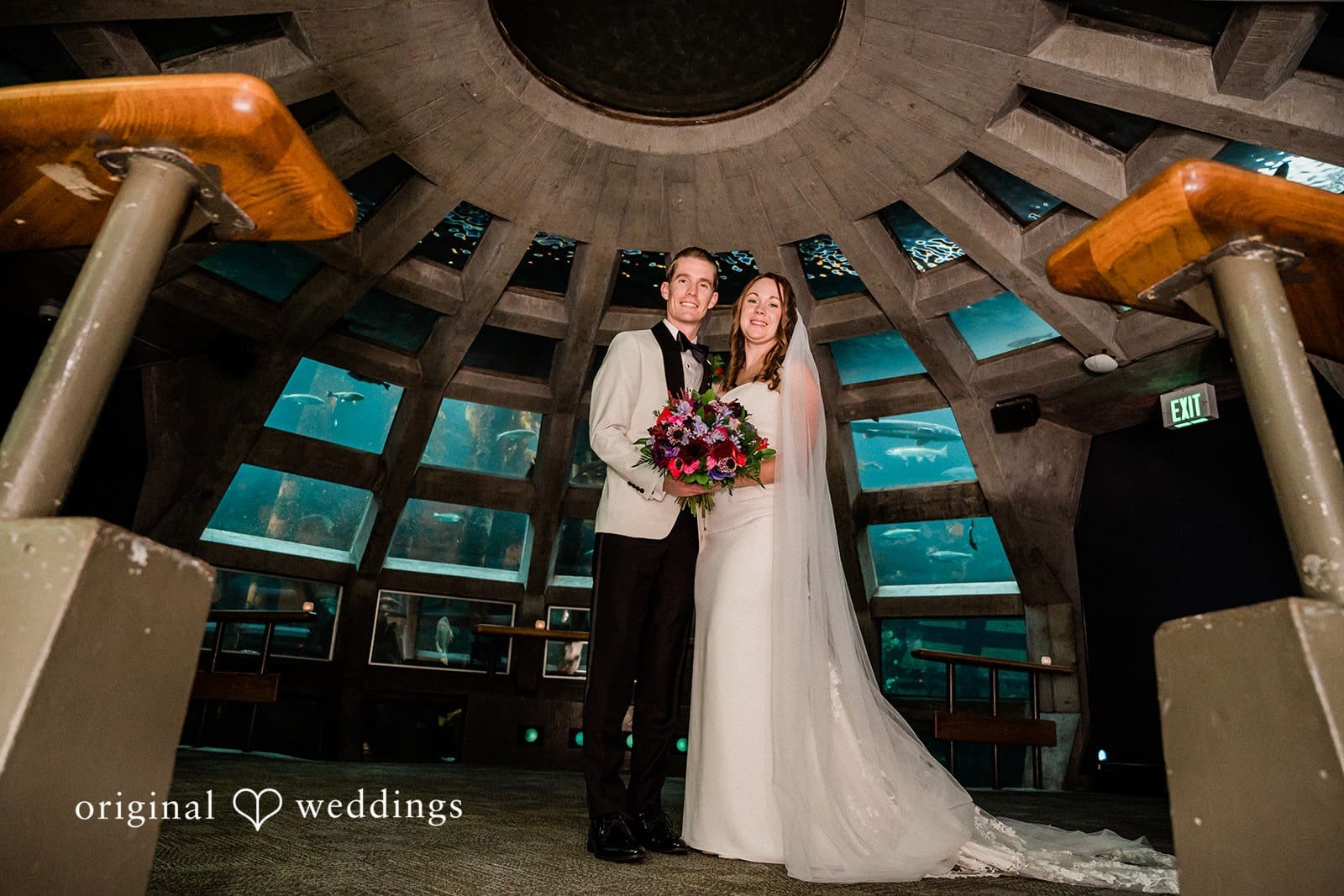Seattle Aquarium Wedding // Drew & Elizabeth -