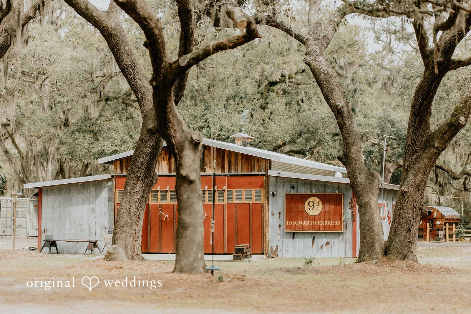 Tampa Backyard Wedding // Taylor & Demetre -