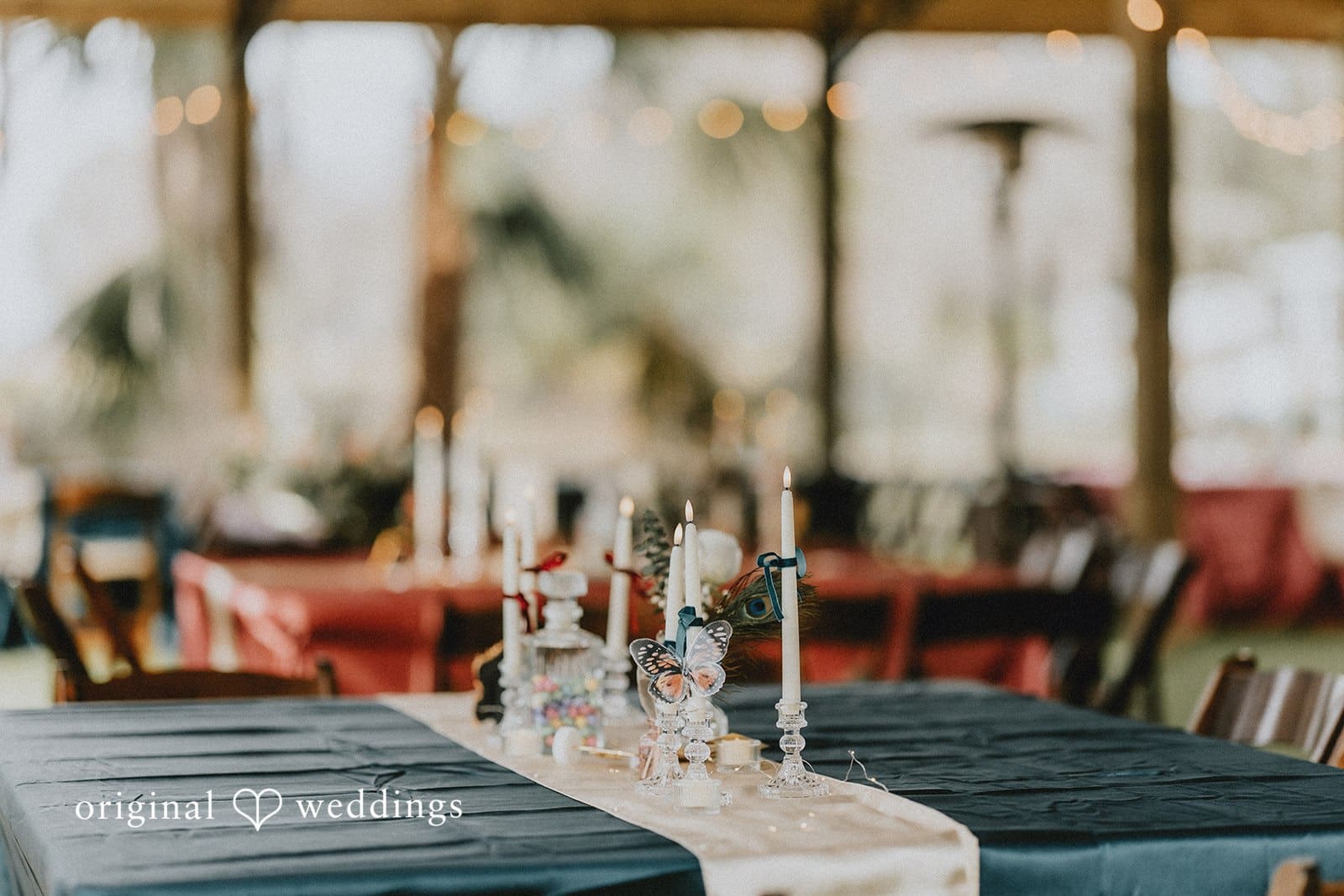 Tampa Backyard Wedding // Taylor & Demetre -