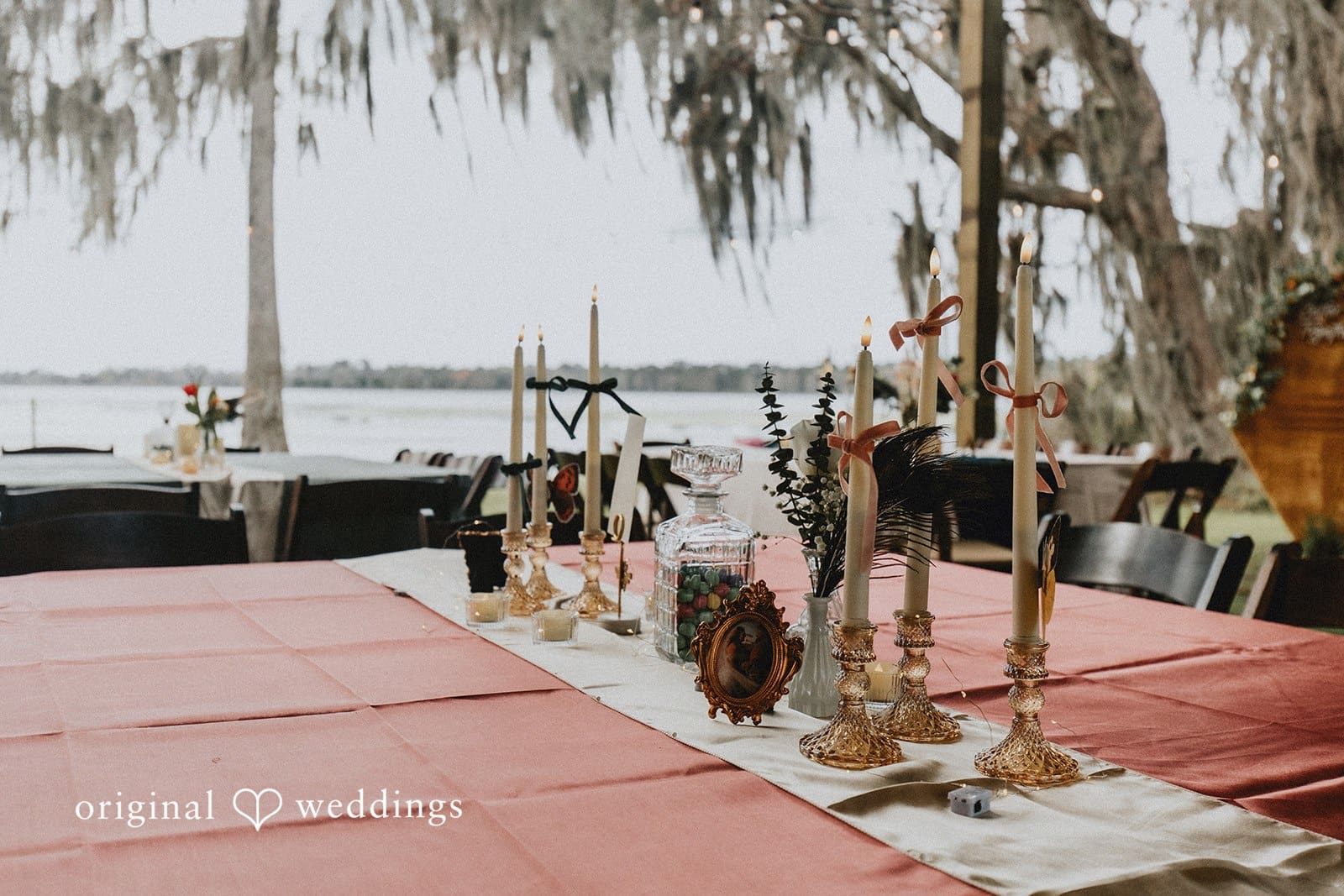 Tampa Backyard Wedding // Taylor & Demetre -