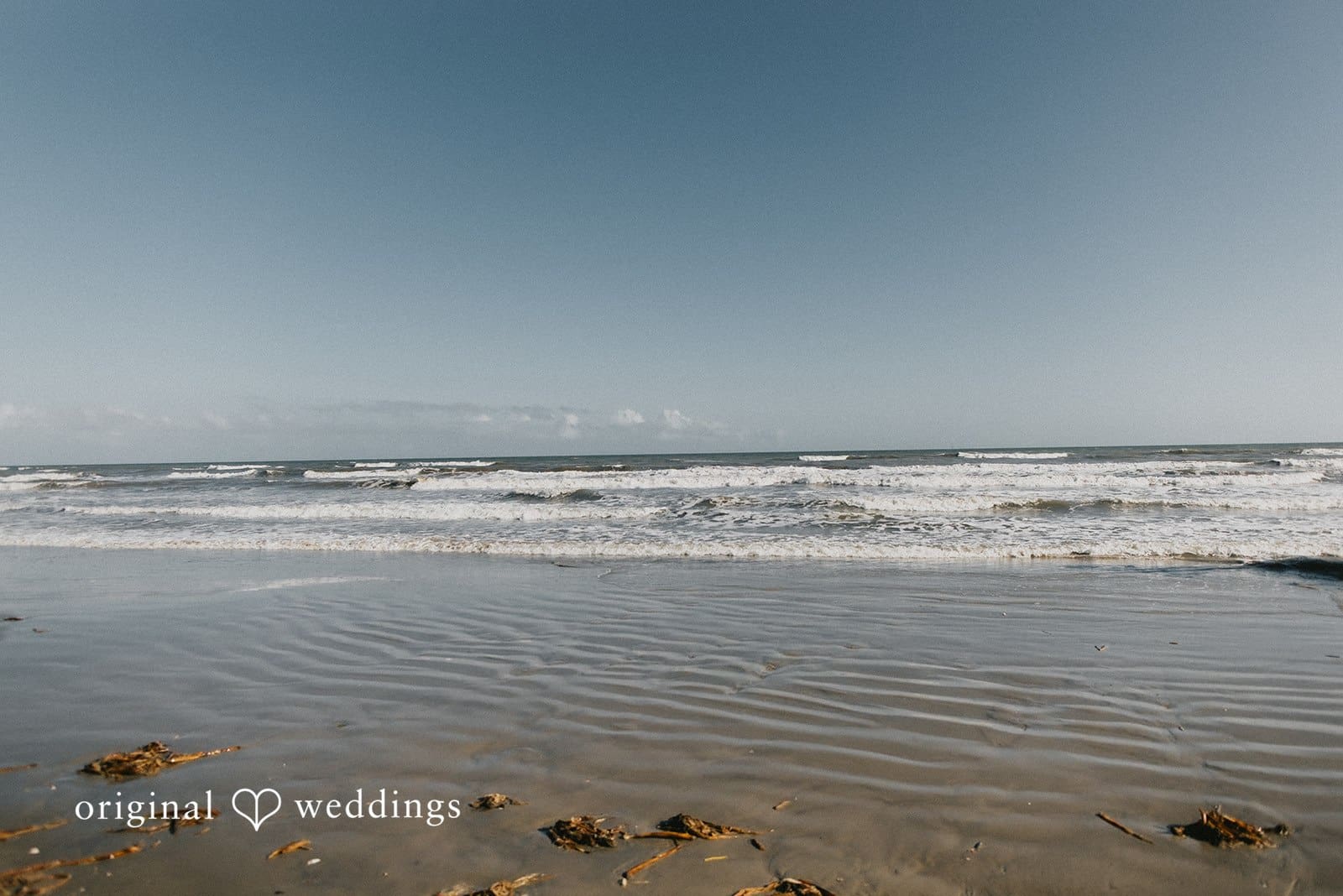 Texas Beach Wedding // Monica & Amanda -