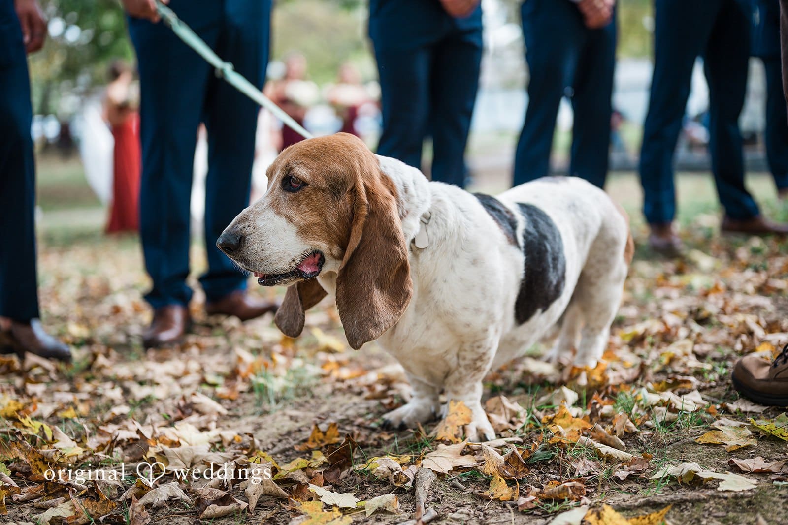 The Landing Event Center Wedding // Evan & Morgan -