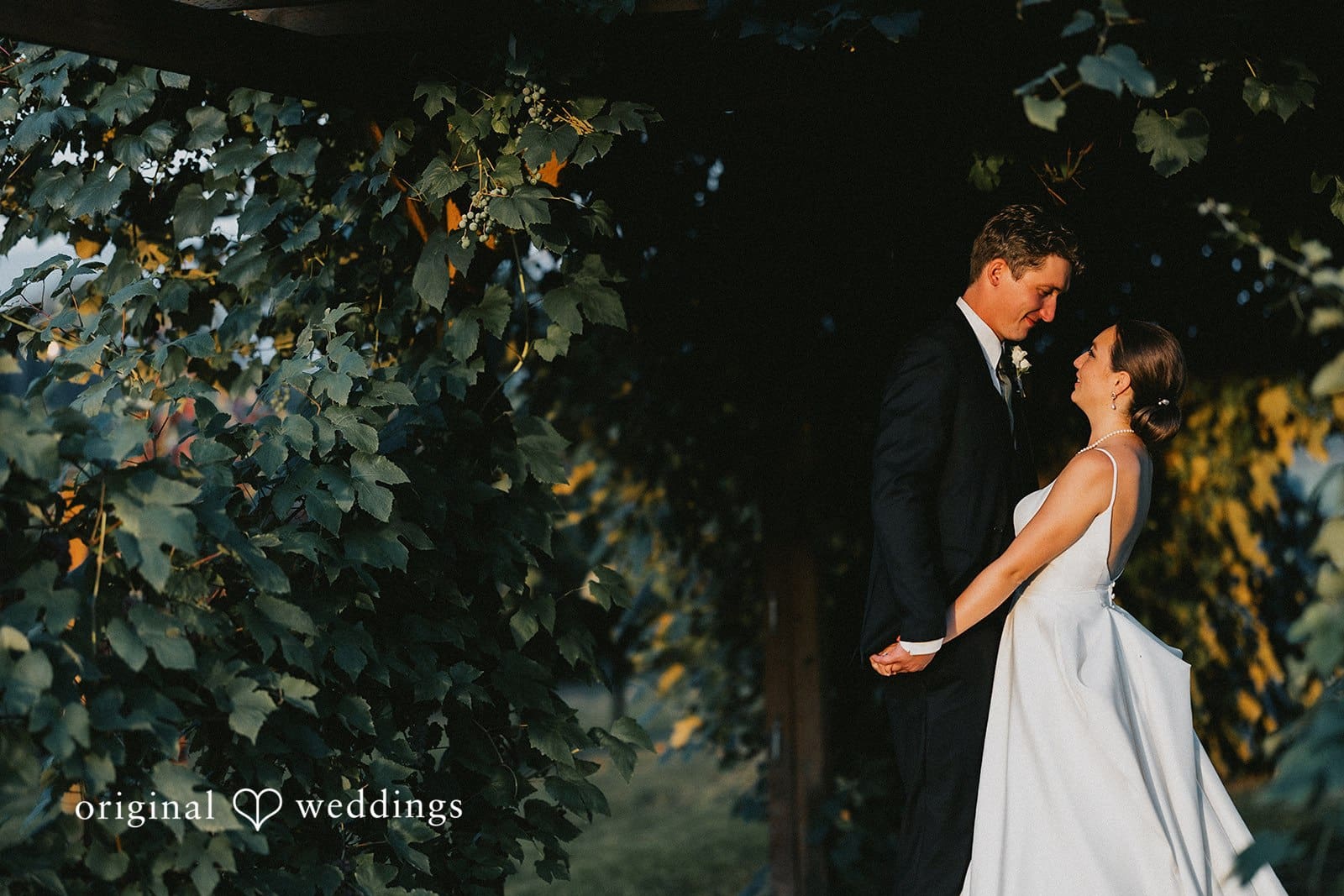 The Lodge at Sonneveldt Vineyard Wedding // Riley & David -