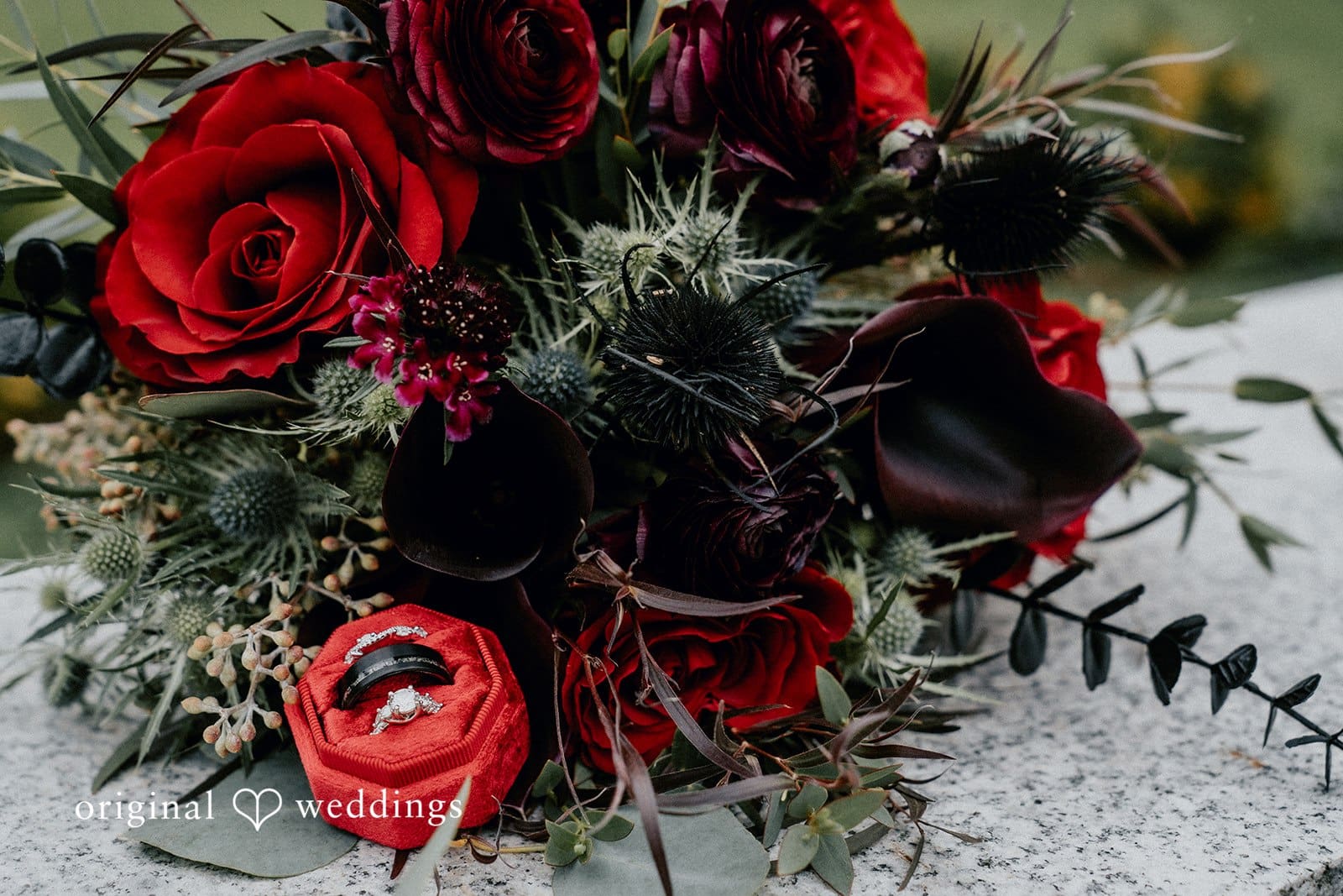 The Lodge at St. Edward State Park Wedding // Julia & Josh -