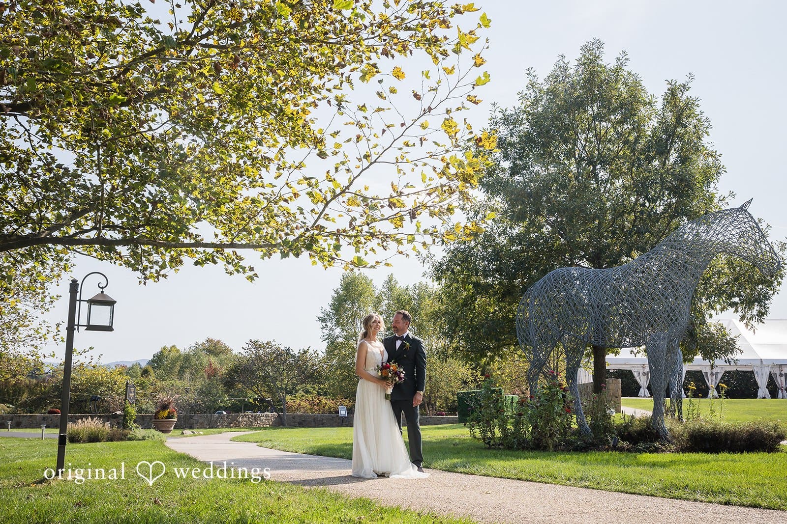 Molly & Wauker -