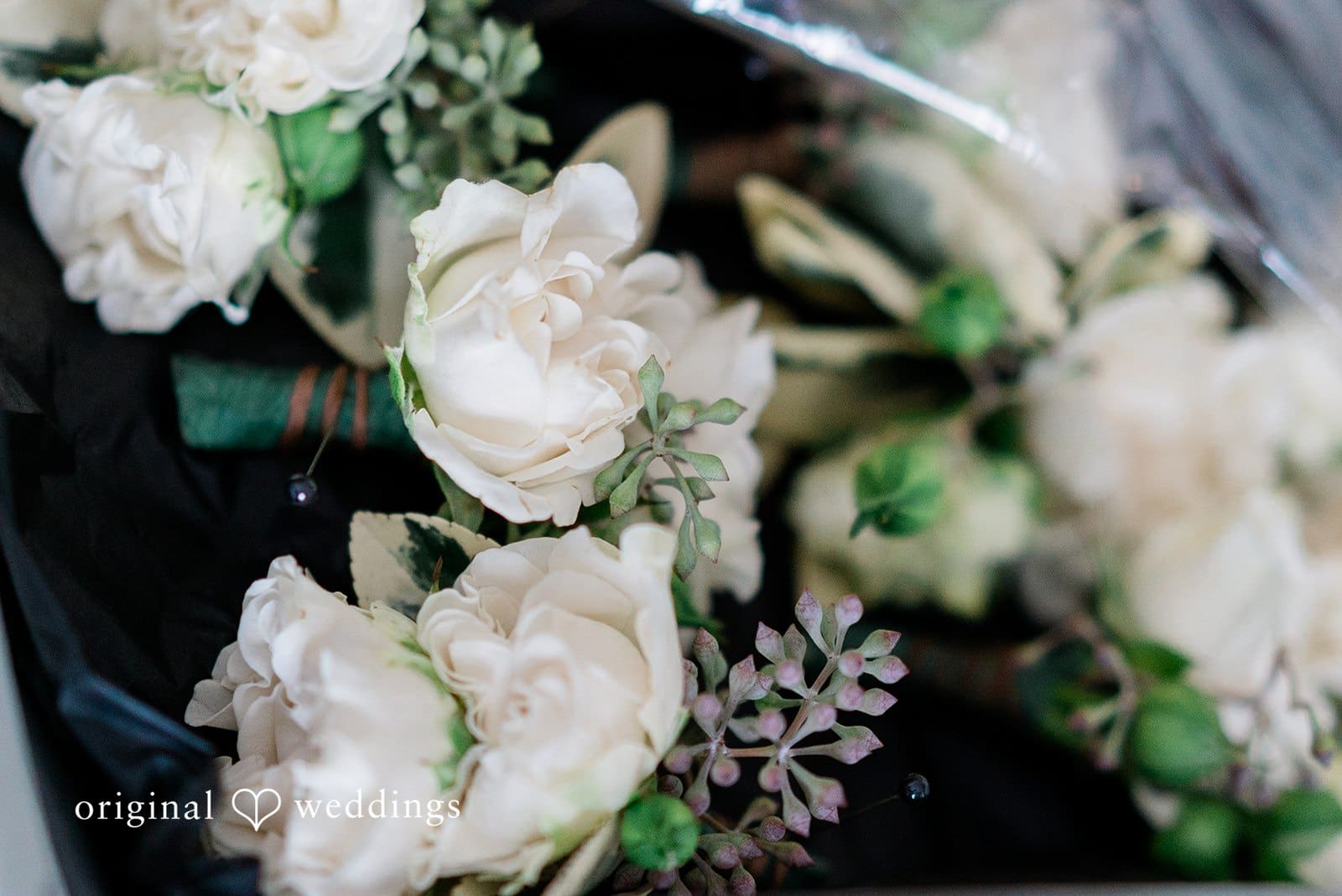 The Spinnaker Wedding // Natasha & Kevin -