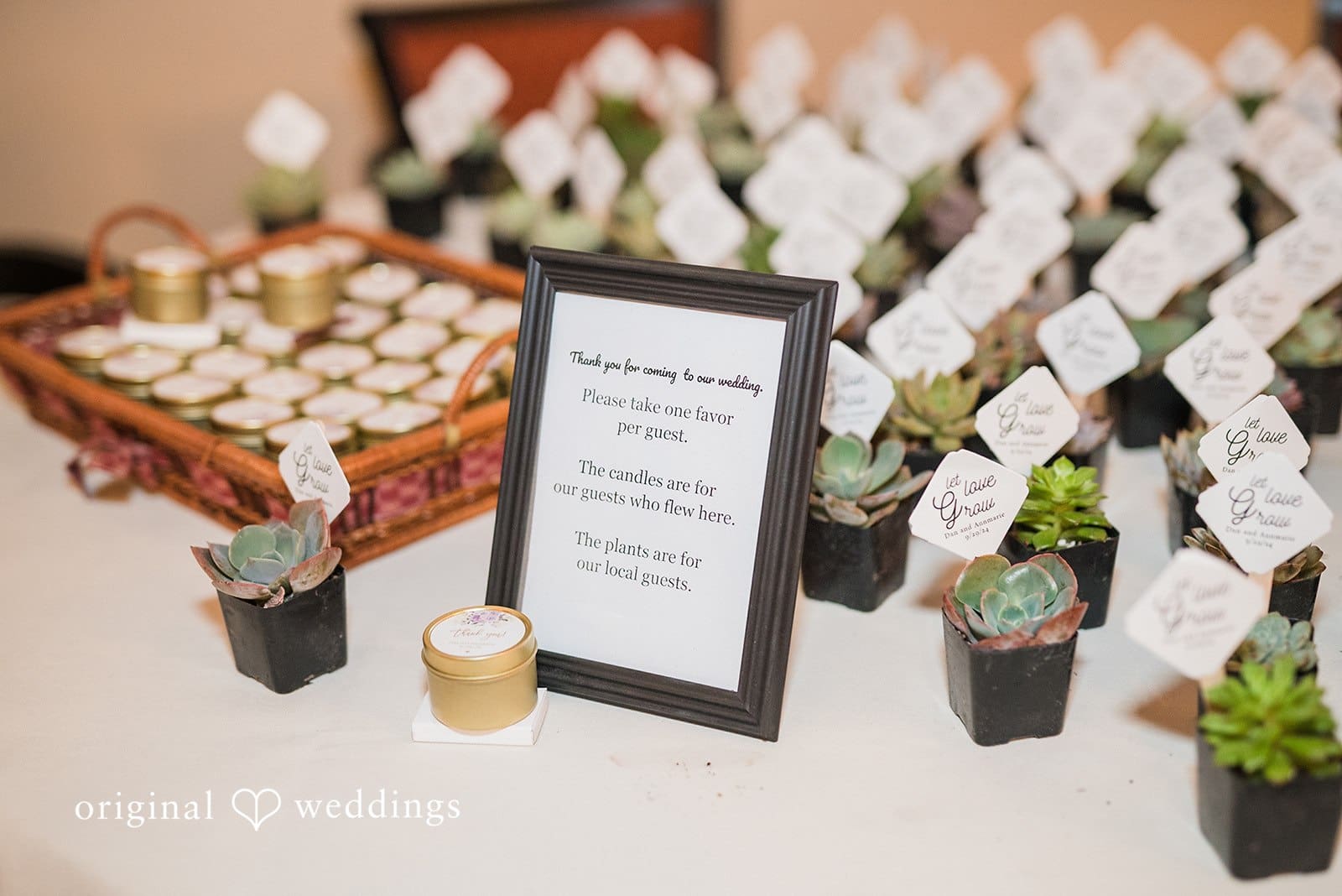 The Terrace Room Wedding // Annmarie & Dan -