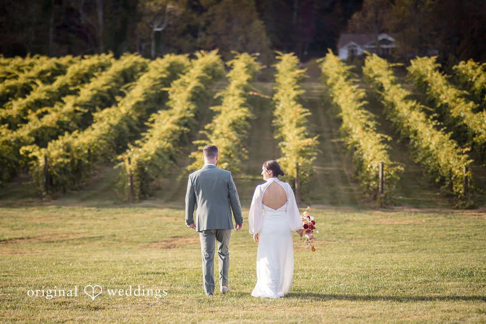 Tiger Mountain Vineyards Wedding // Sydney & Sean -