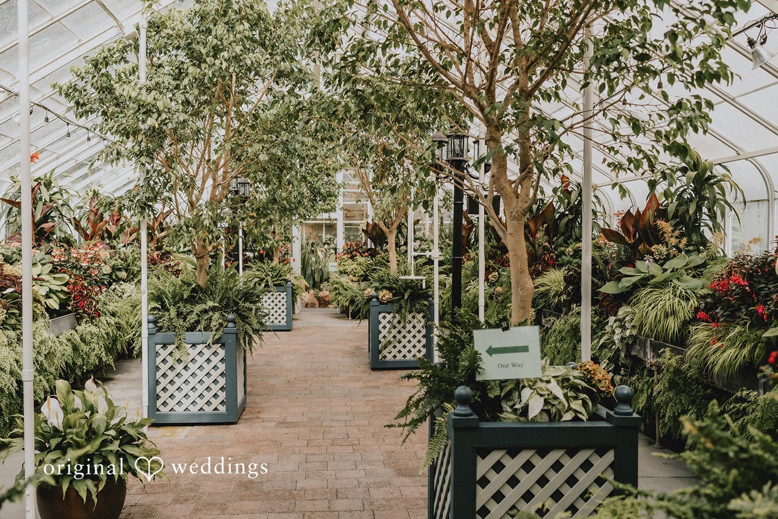 Volunteer Park Conservatory Wedding // Valerie & Darwin -