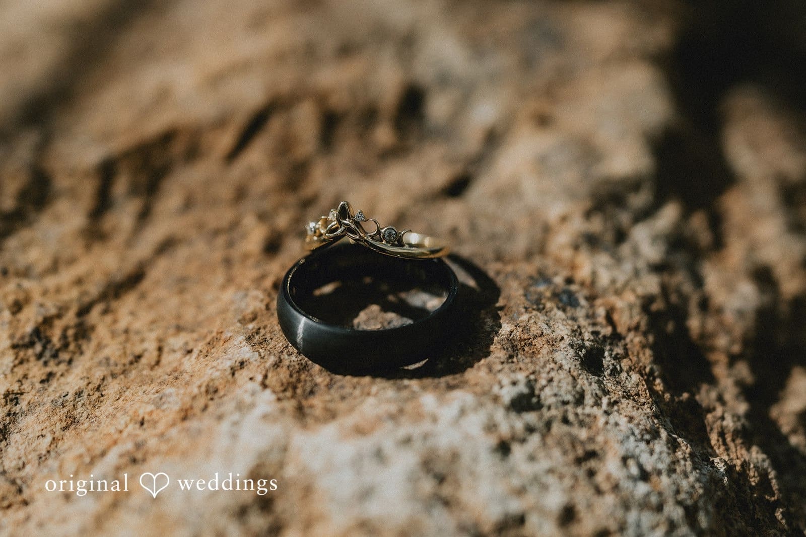 Volunteer Park Conservatory Wedding // Valerie & Darwin -