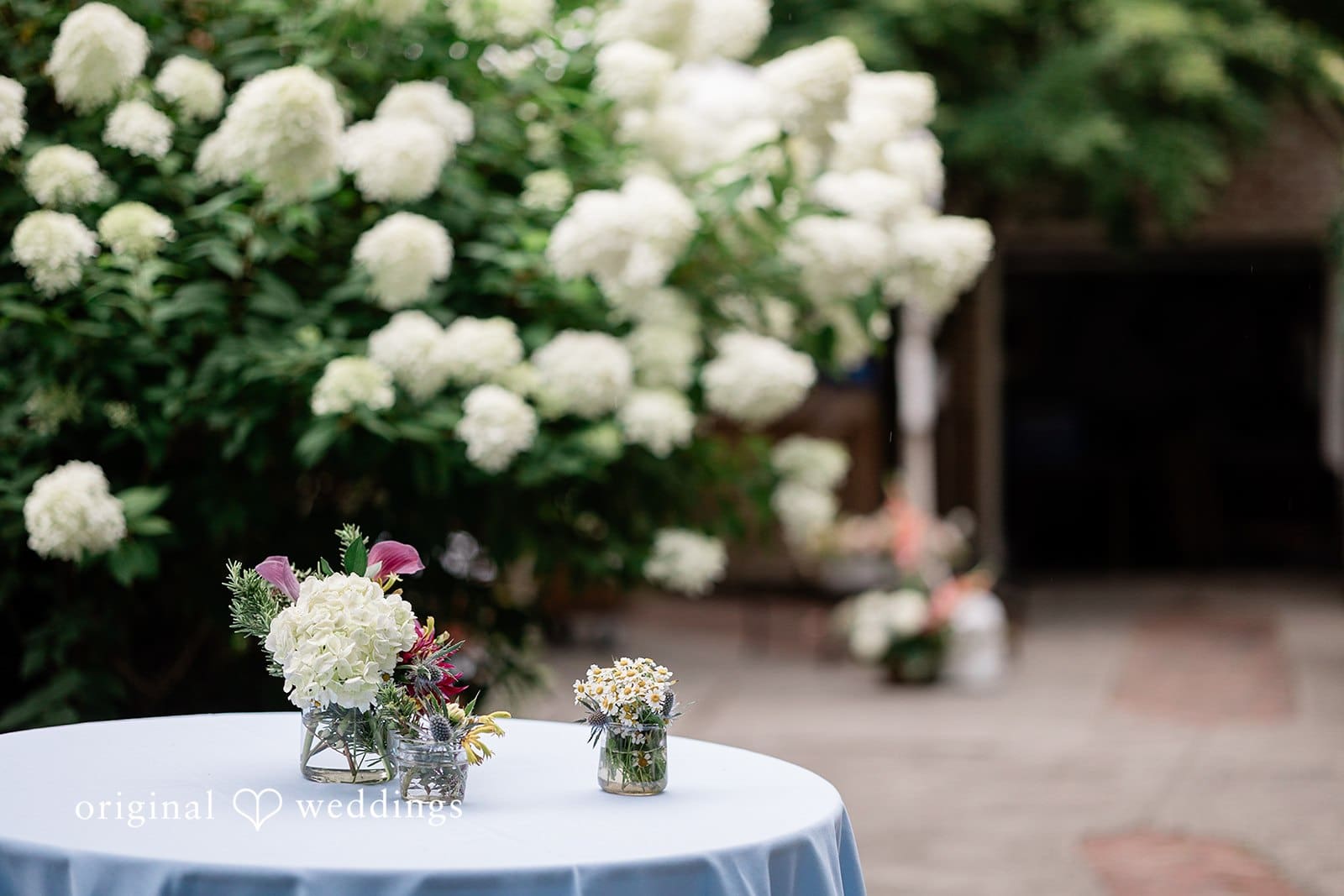Washington Backyard Wedding // Colleen & David -
