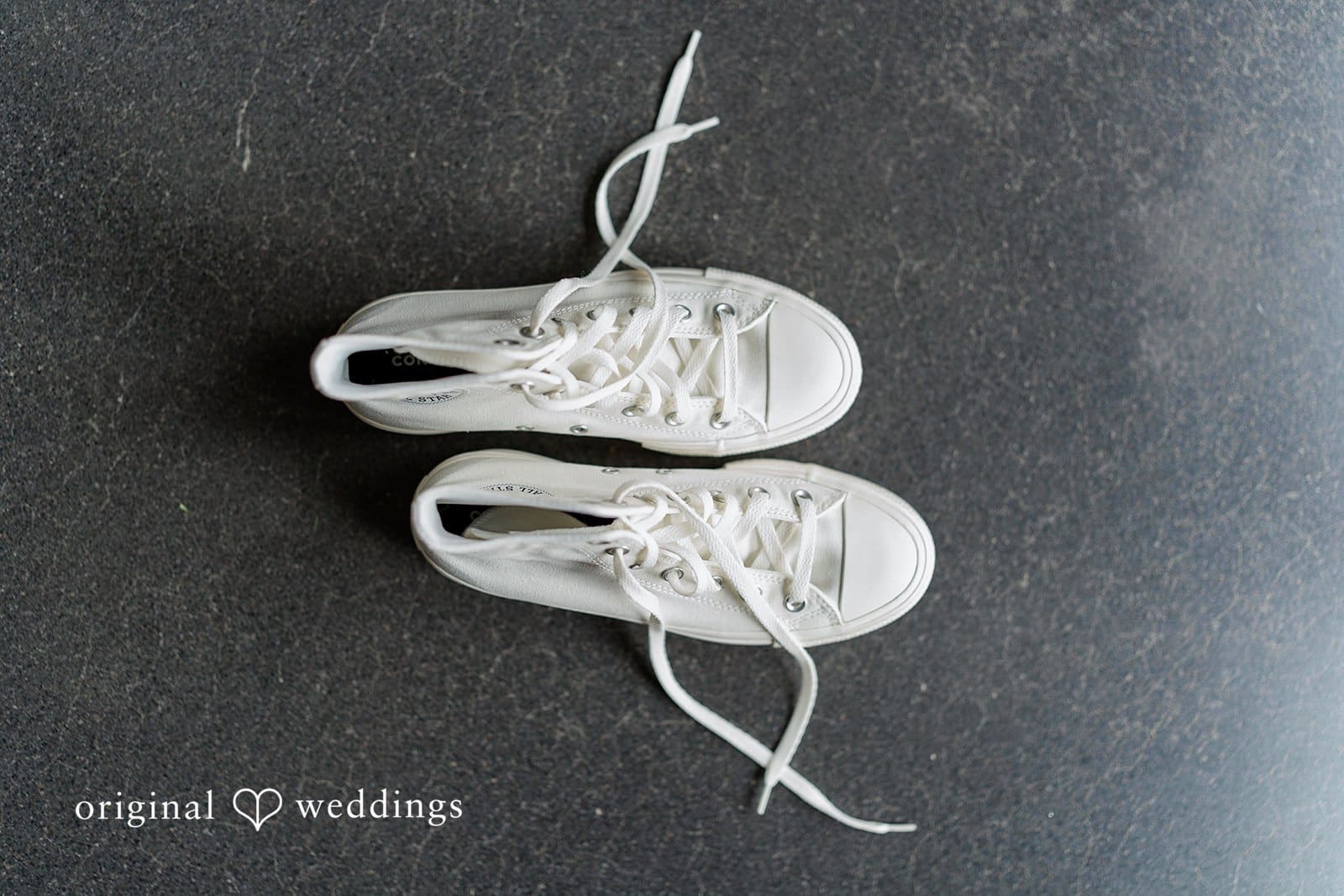 Washington Backyard Wedding // Demitri & Anthony -