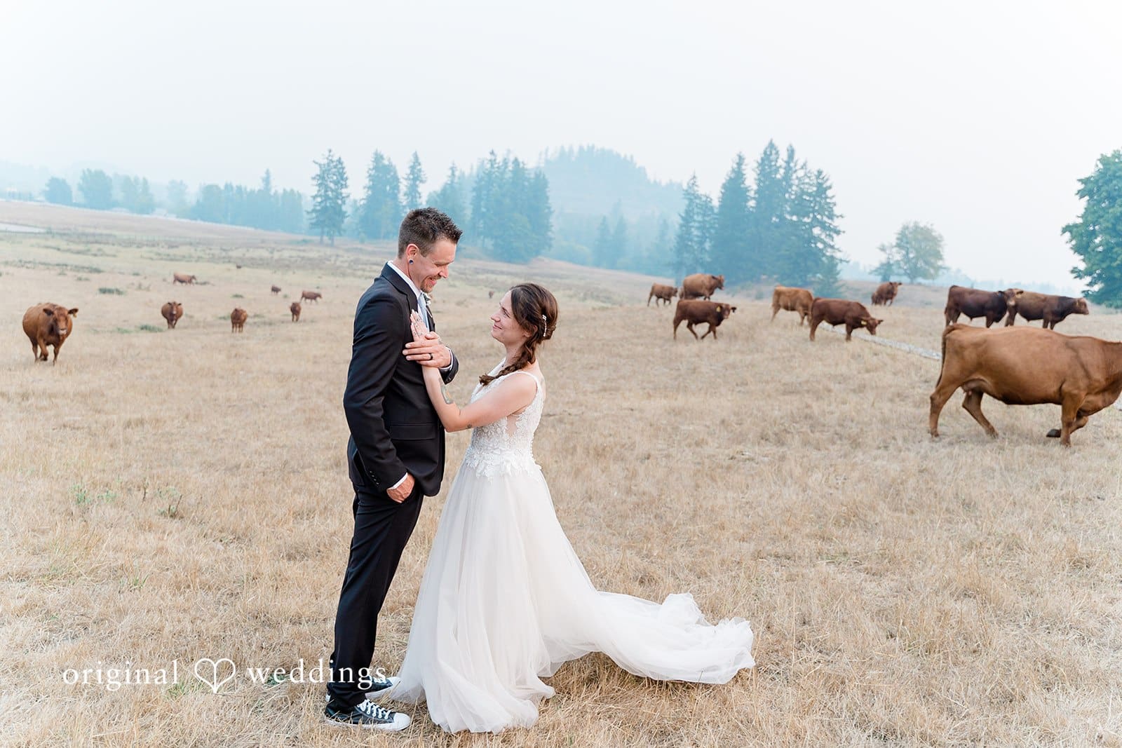 Washington Backyard Wedding // Demitri & Anthony -