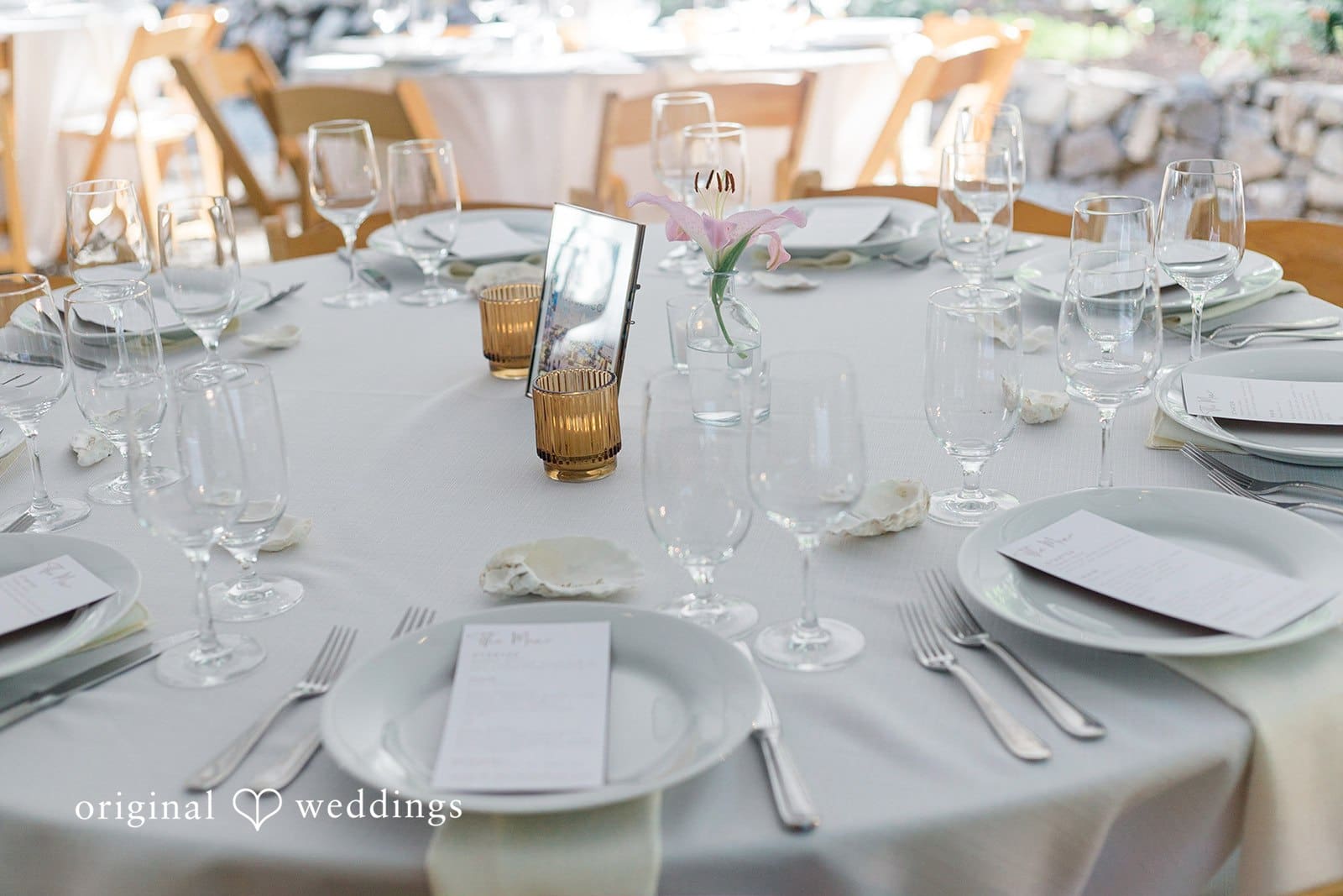 Washington Backyard Wedding // Emily & Aaron -