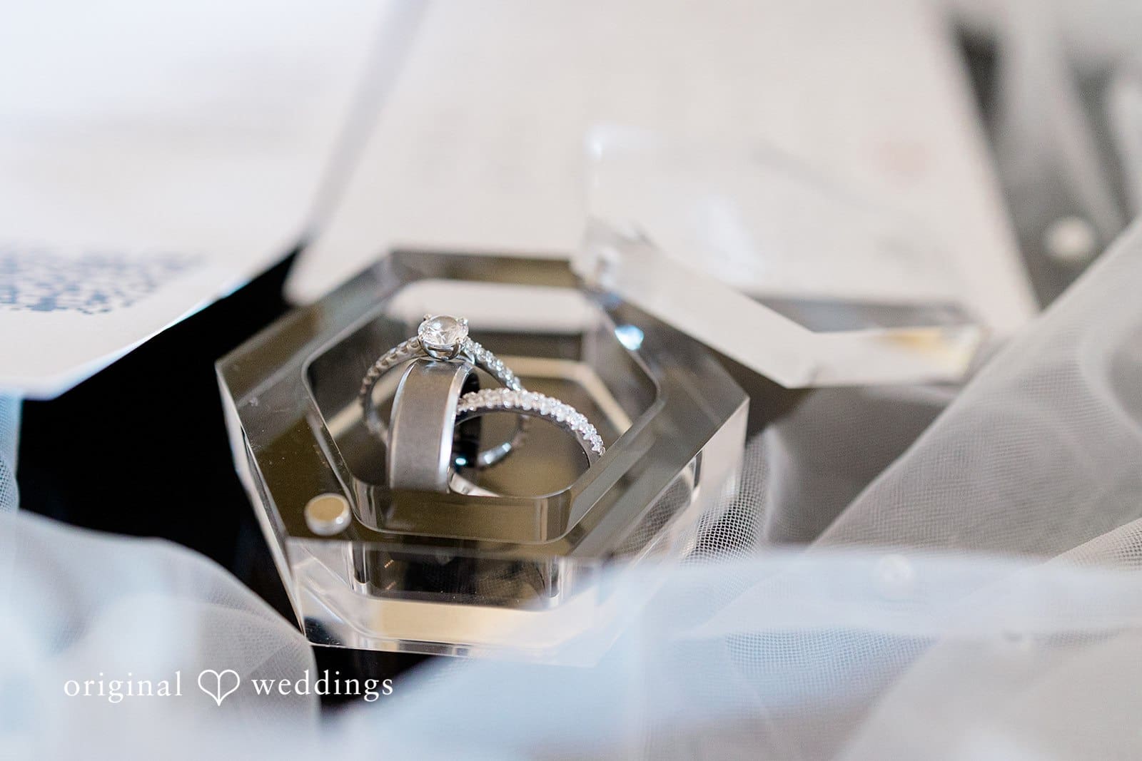 Washington Backyard Wedding // Jazmyn & Haydn -