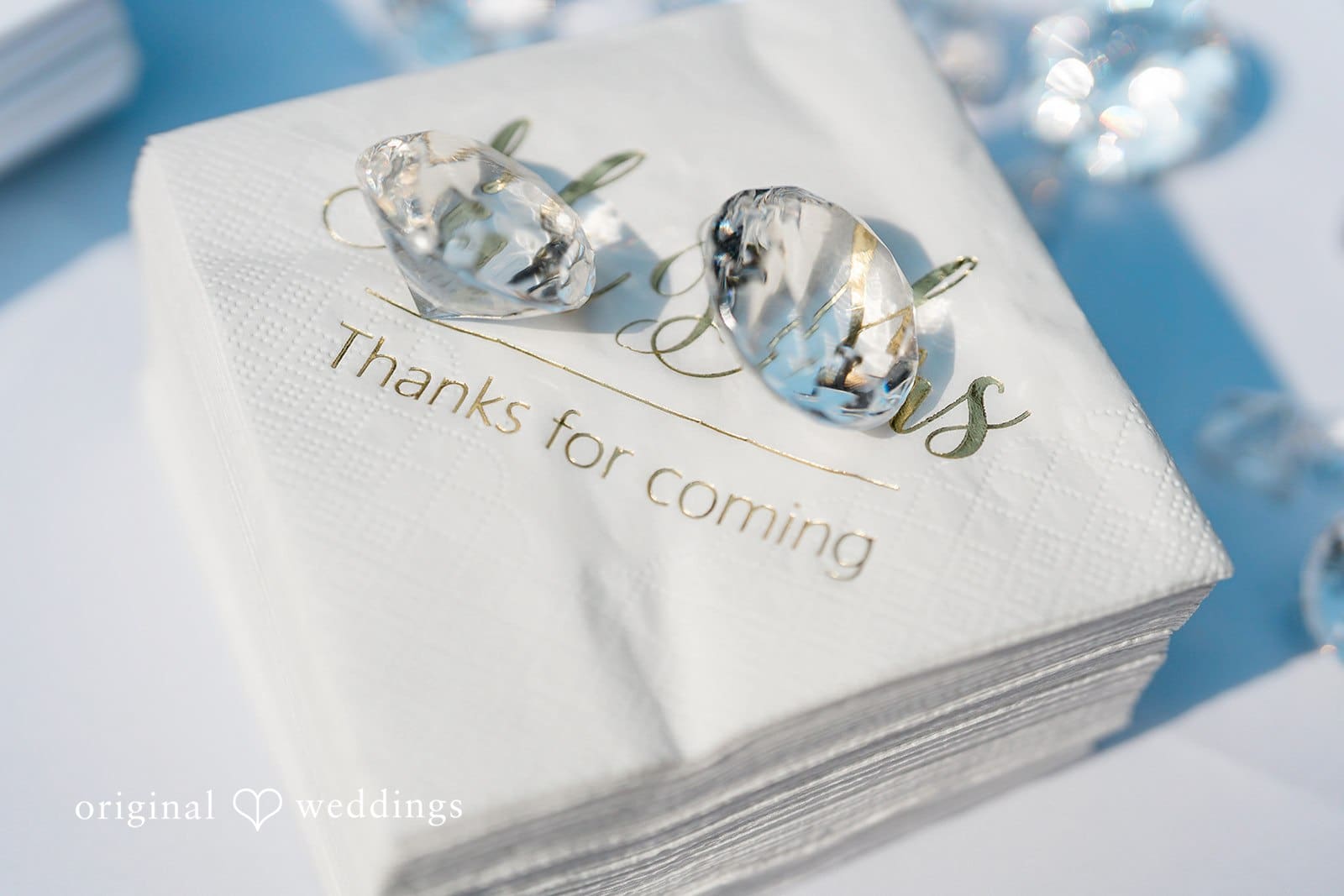 Washington Backyard Wedding // Jazmyn & Haydn -