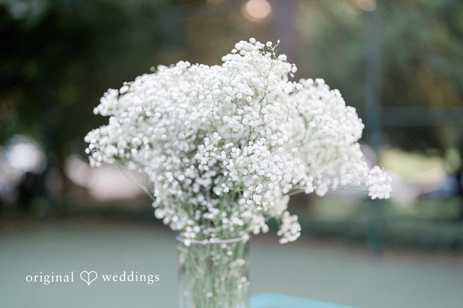 Washington Backyard Wedding // Jazmyn & Haydn -