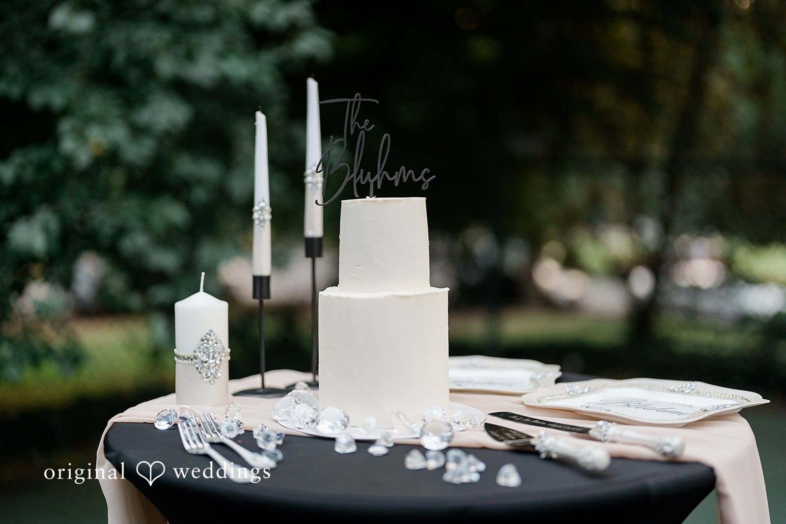 Washington Backyard Wedding // Jazmyn & Haydn -